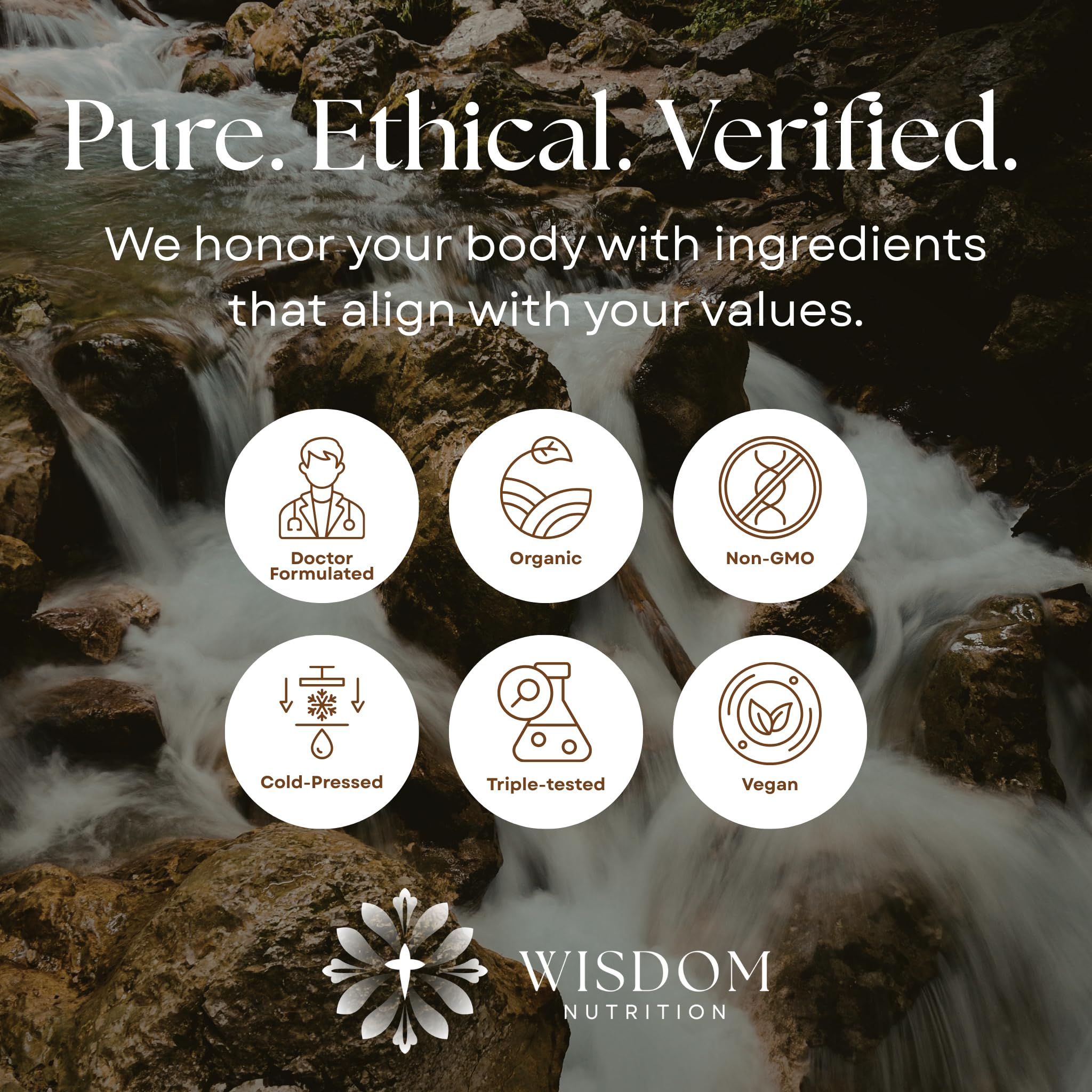 Organic Turmeric, Frankincense and Myrrh – Herbal Supplement Blend for Energy, Detox, Focus, Immunity & Stress – Non-GMO Vegan Tonic with Milk Thistle – Wisdom Bible Based Blend – 2oz Liquid Drops Wisdom NutritionAu supplements