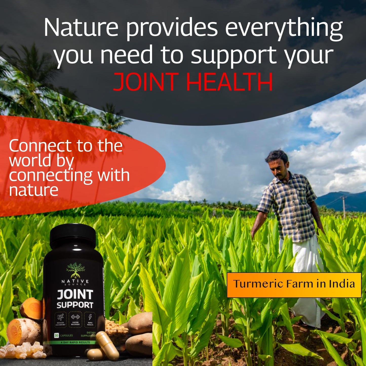 Native Source Joint Support Supplement - Turmeric - Tamarind - Boswellia - Fenugreek Native SourceUS supplements