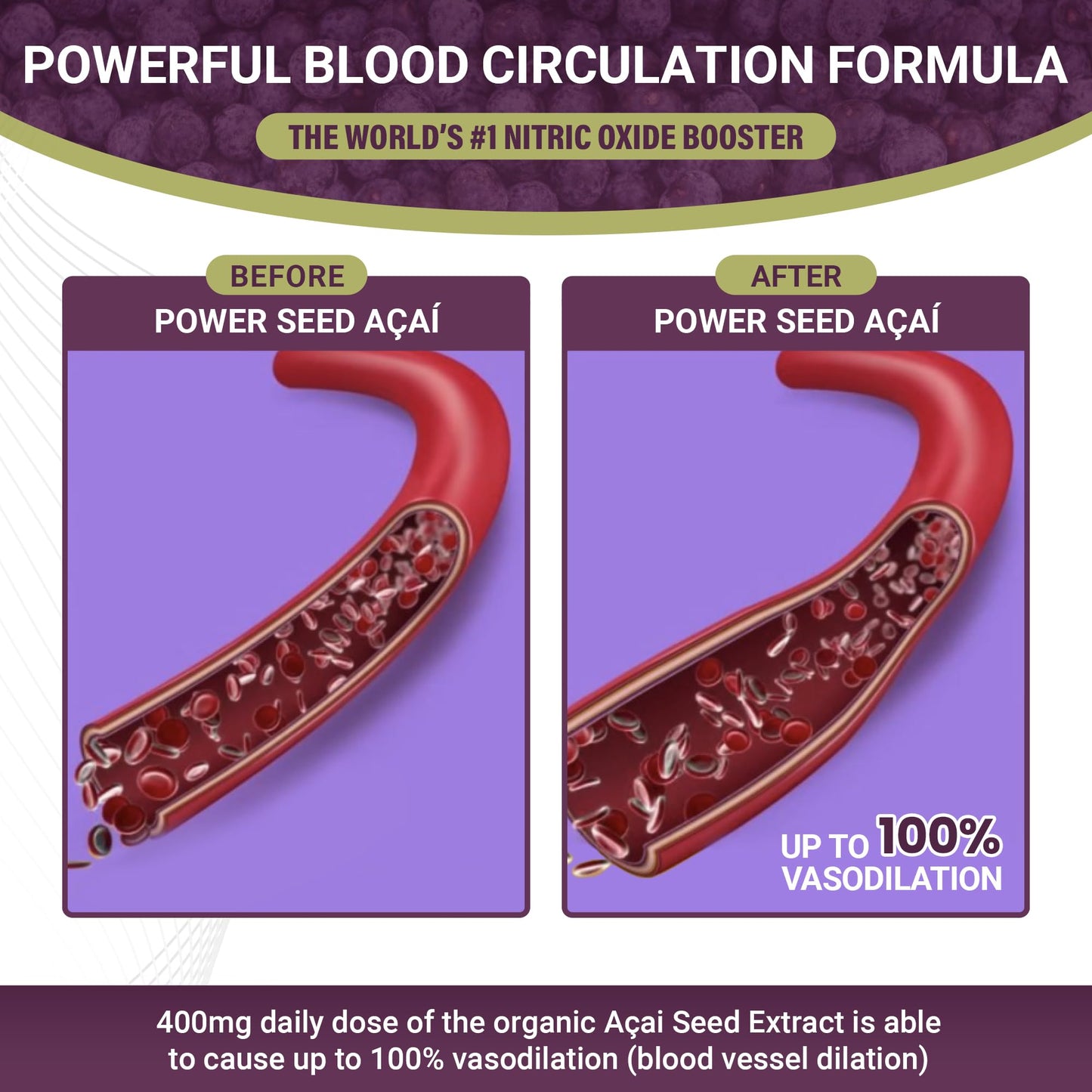 POWER SEEDAÇAÍ New Patented Nitric Oxide Supplement -Increase Blood Flow & Circulatio POWER SEEDAÇAÍUS supplements
