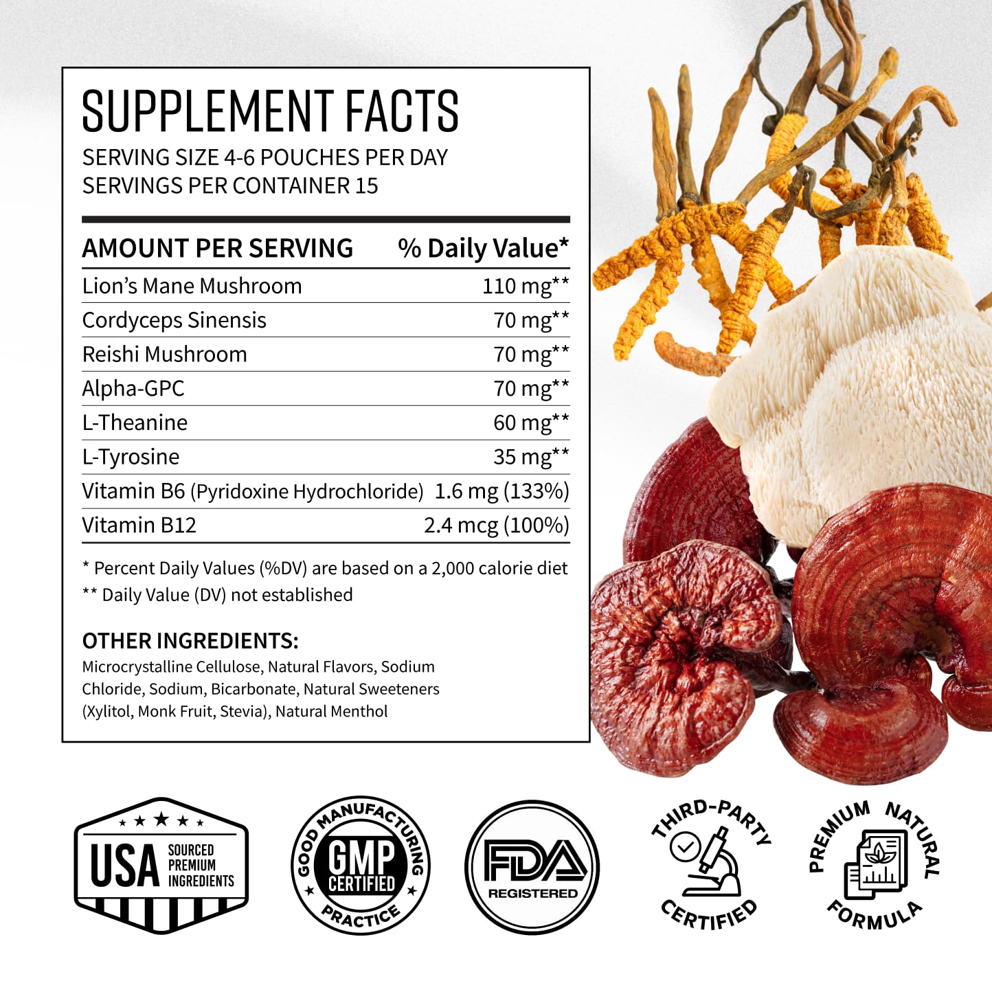 Adaptogen Mushroom Nootropic Pouches (4 Pack Bundle) - 250mg Mushroom Blend + 165mg Energy Blend, Nicotine Free & Caffeine Free, Ultra Pouch with Lion's Mane, Cordyceps, Reishi, Alpha-GPC, L-Theanine GGGJAu supplements