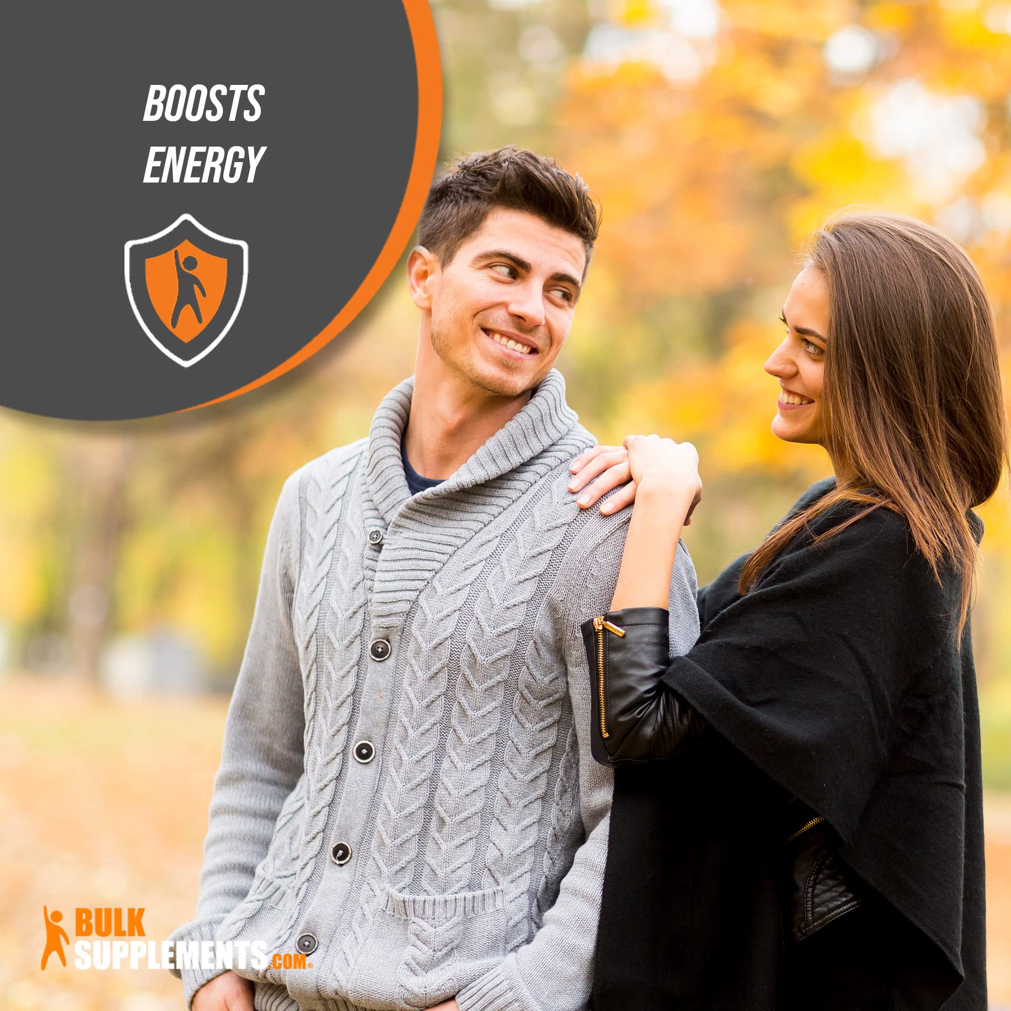BULKSUPPLEMENTS.COM Beta Alanine Powder 1KG, with Creatine Monohydrate Powder BULKSUPPLEMENTS.COMAu supplements