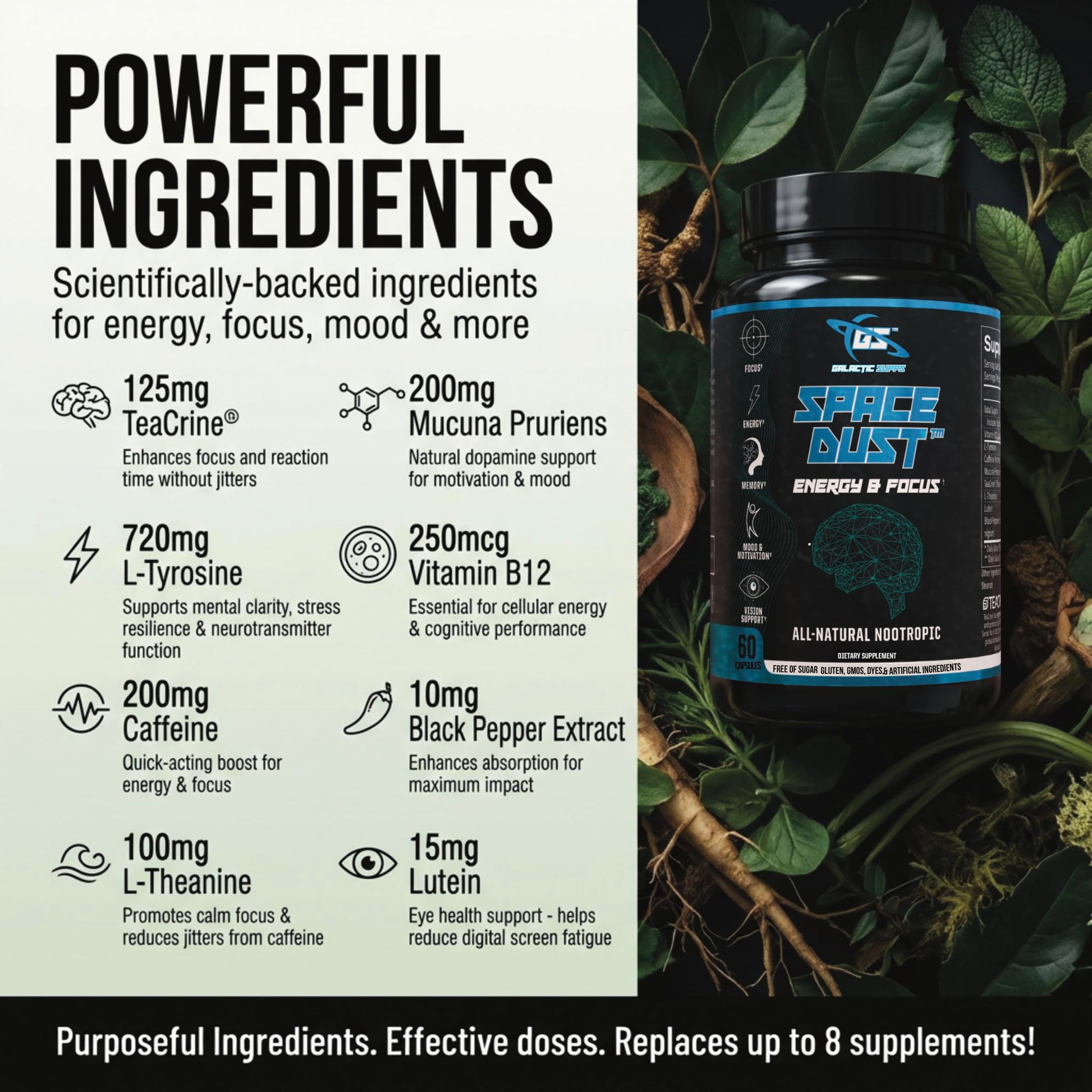 Space Dust Brain Supplements for Memory and Focus – Nootropic Focus Supplement for Brain Health & Mind Boost with TeaCrine, Caffeine, L-Tyrosine, L-Theanine – Cognitive Support Capsules, 60 Count GALACTIC SUPPSAu supplements
