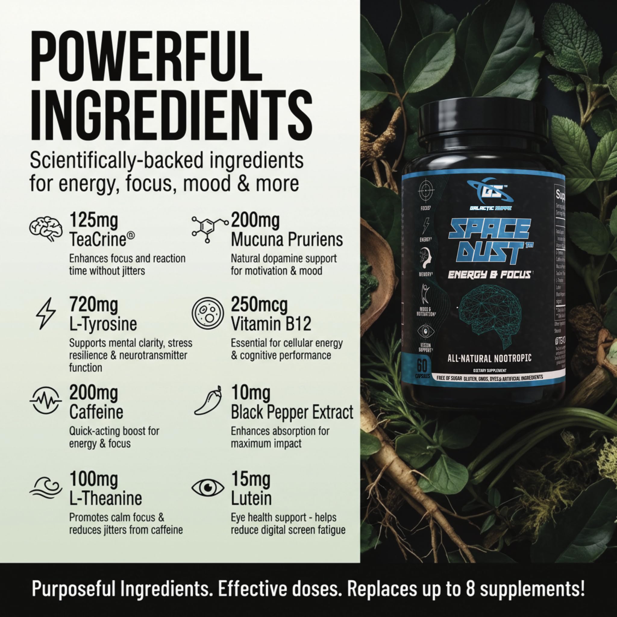 Space Dust Brain Supplements for Memory and Focus – Nootropic Focus Supplement for Brain Health & Mind Boost with TeaCrine, Caffeine, L-Tyrosine, L-Theanine – Cognitive Support Capsules, 60 Count GALACTIC SUPPSAu supplements