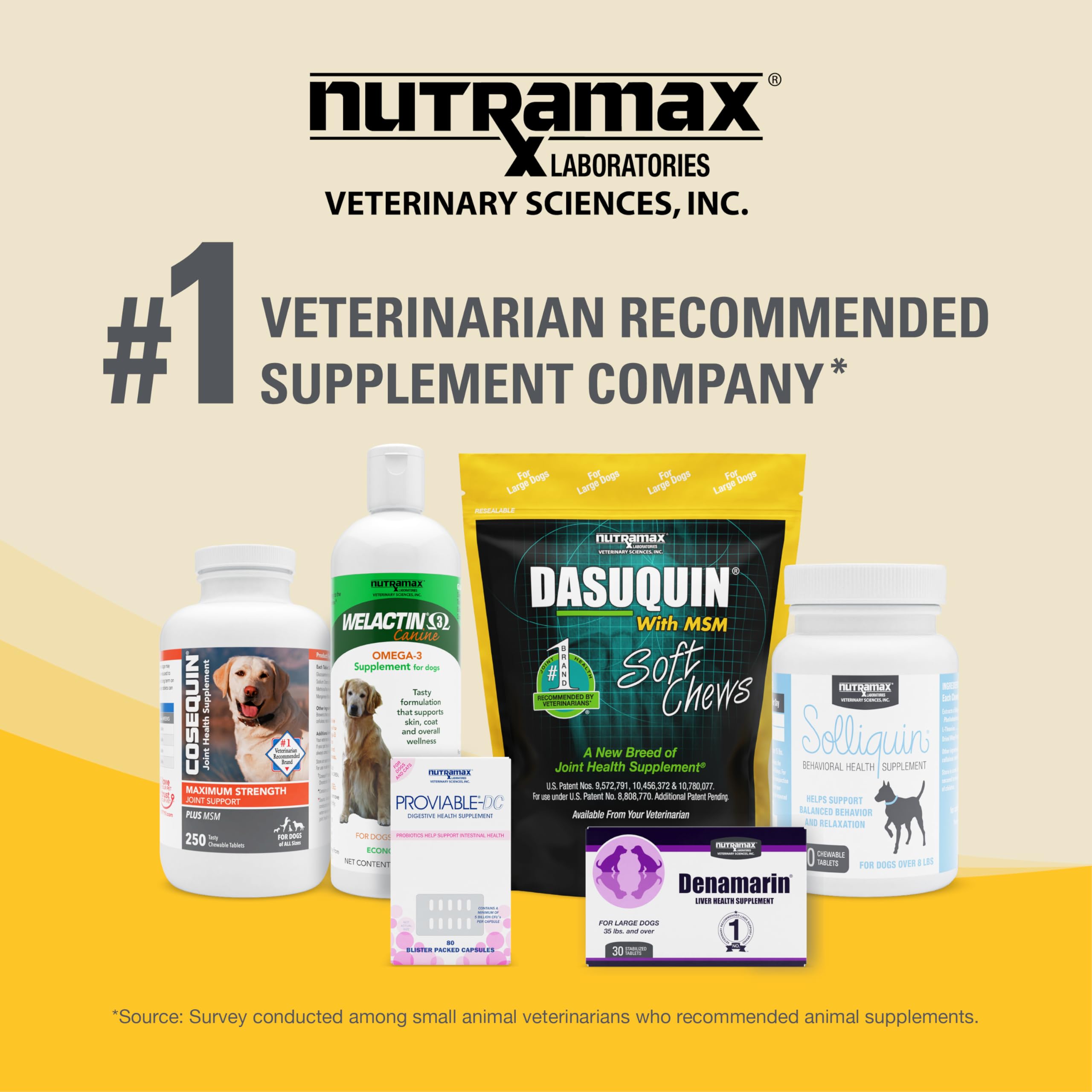 Nutramax Dasuquin for Small to Medium Dogs, Joint Health Supplement, Contains Glucosamine for Dogs, Plus Chondroitin, ASU, MSM and More, Supports Healthy Joints, Chewable Tablets, 84 Count Nutramax LaboratoriesAu supplements