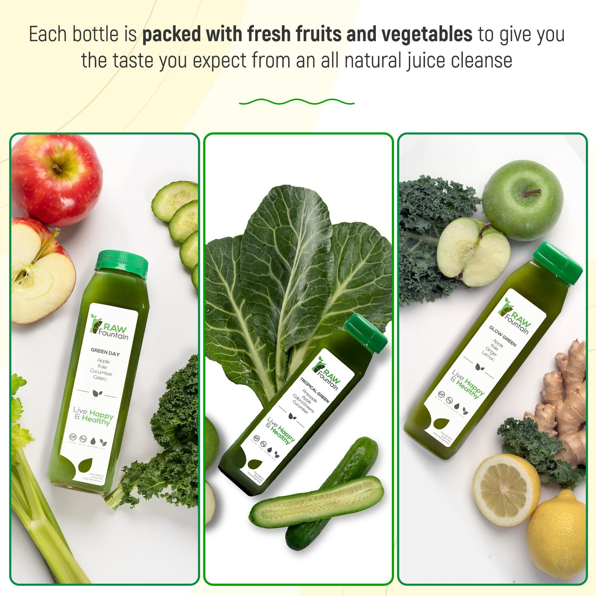 1 Day Green Juice Cleanse by Raw Fountain, All Natural Raw, Vegan Detox, Cold Pressed Raw FountainUS supplements