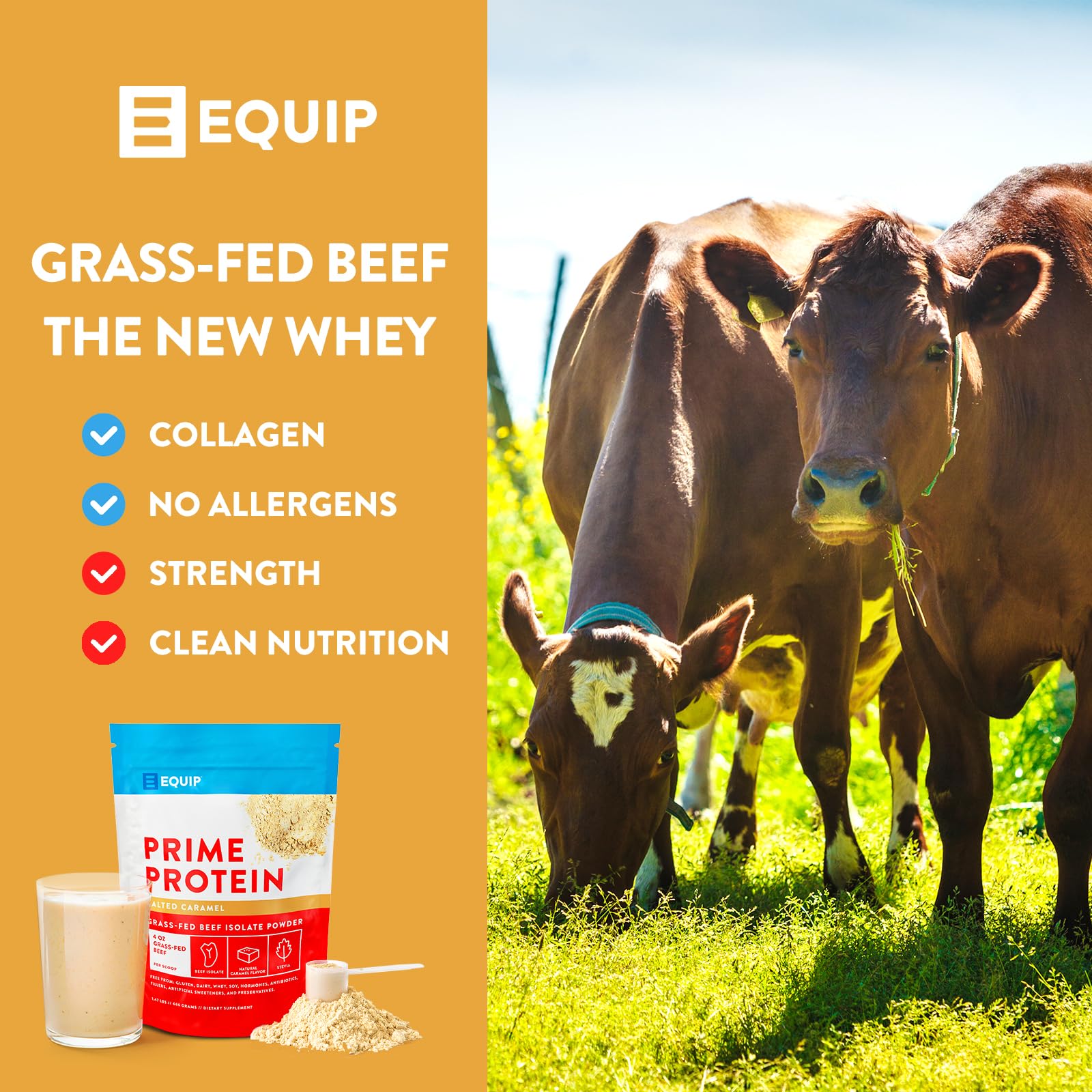 Equip Foods Prime Protein - Grass Fed Beef Protein Powder Isolate - Paleo and Keto EquipUS supplements