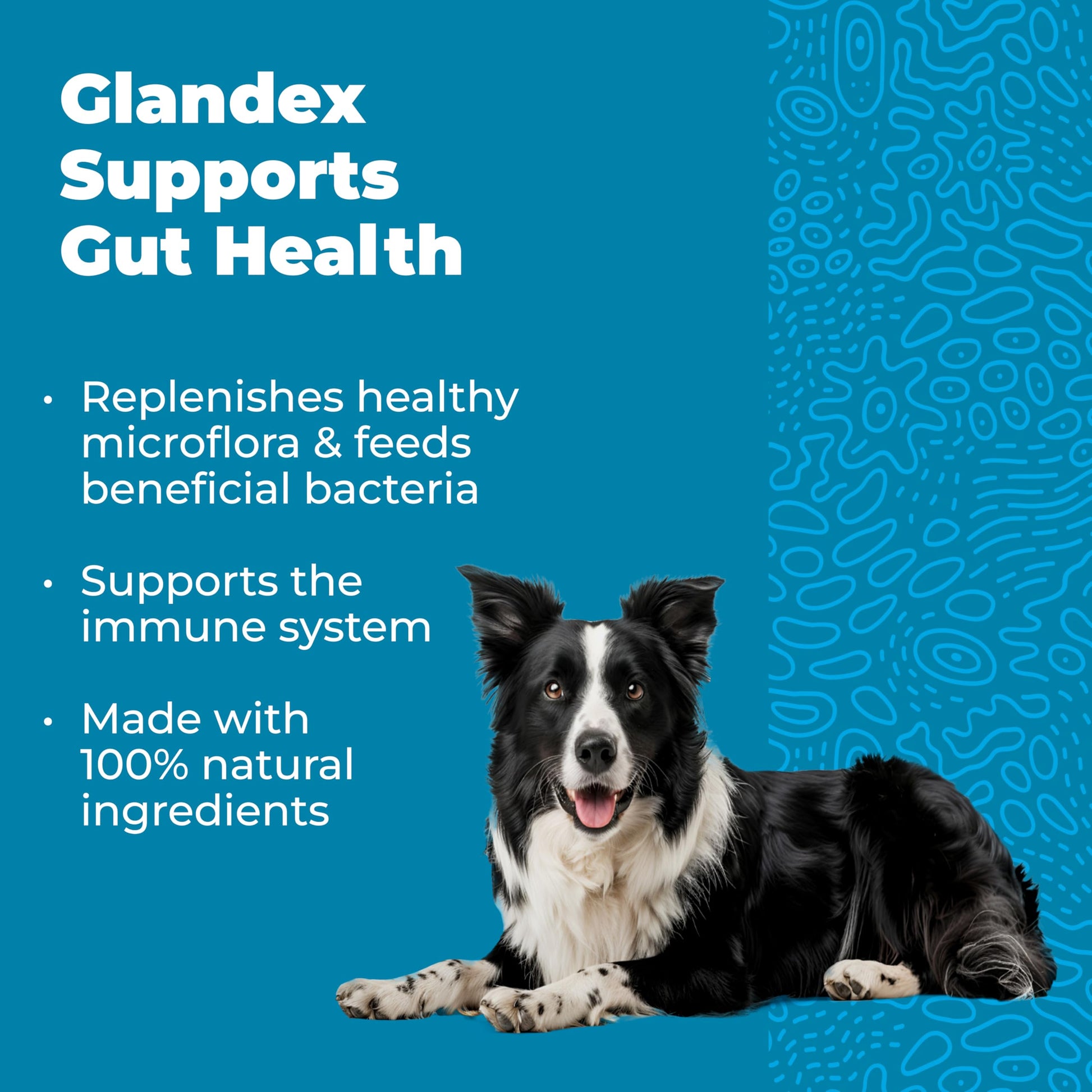 Vetnique Glandex Daily Probiotics for Dogs with Prebiotics to Support Gut Health with Fiber and Digestive Enzymes, Dog Probiotic Chews or Powders (30ct Chews, Bacon Chews) VetniqueAu supplements