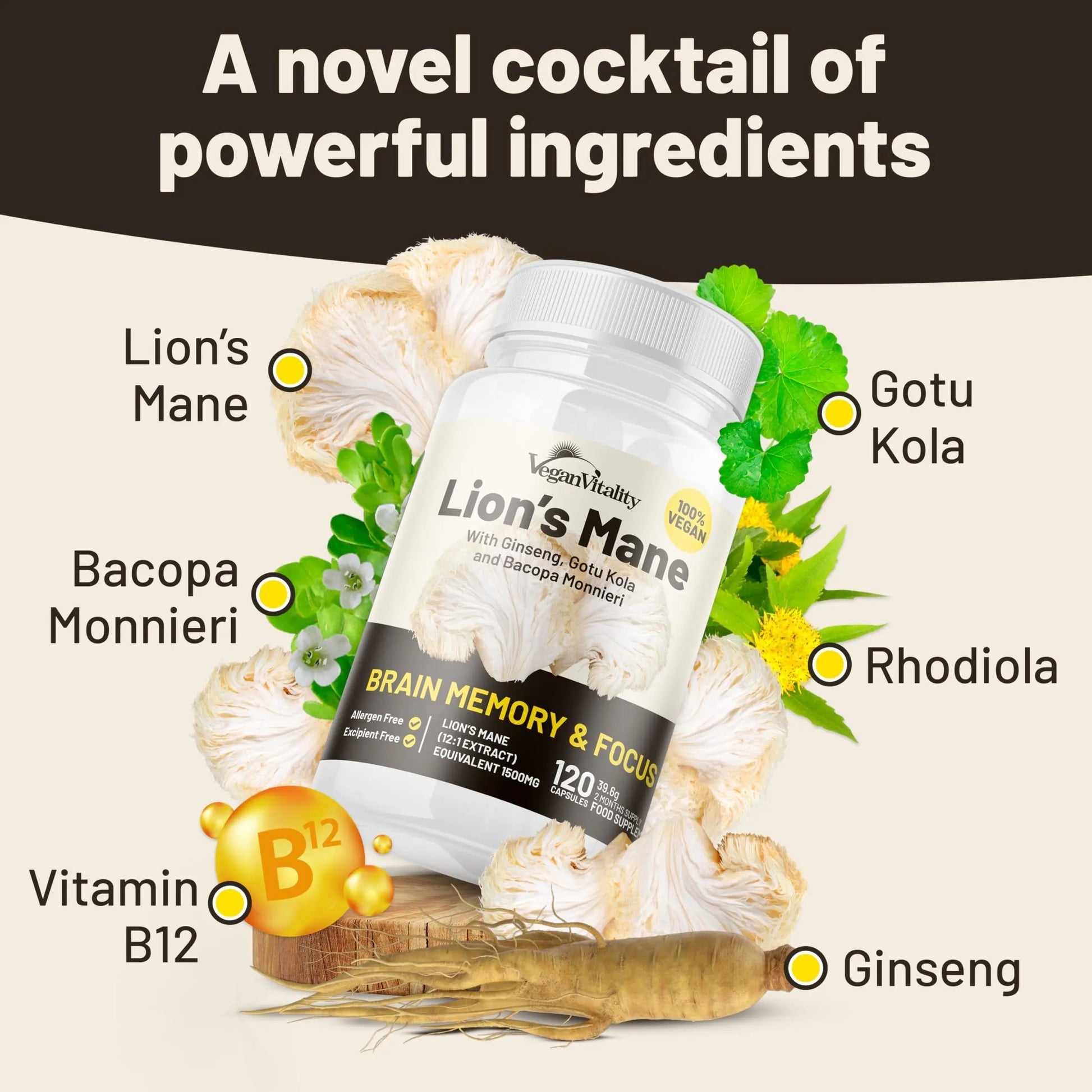 Vegan Vitality Lion's Mane x General Health Combo Bundle - 6 Months Lion's Mane and Multivitamins Vegan VitalityAu supplements