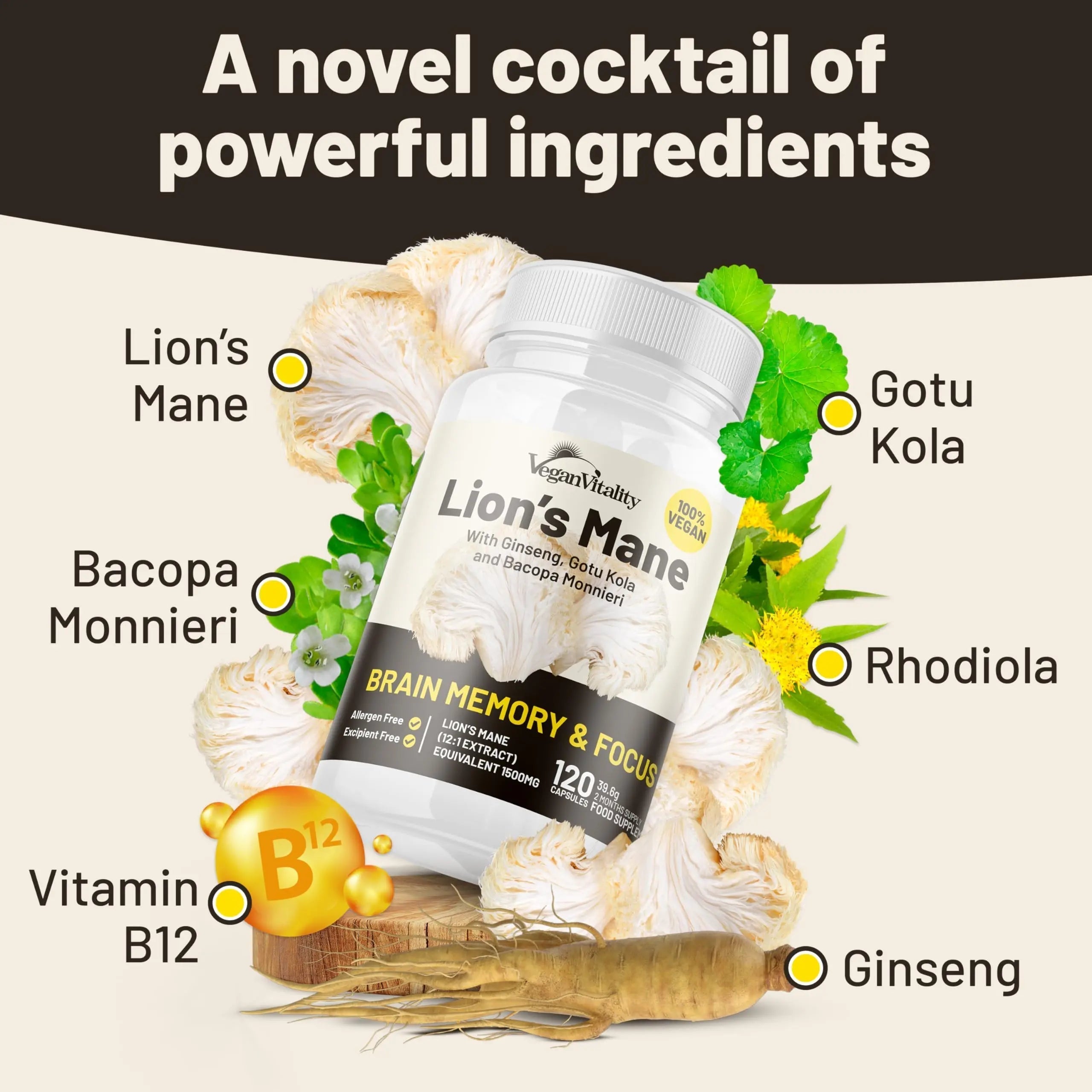 Vegan Vitality Lion's Mane x General Health Combo Bundle - 6 Months Lion's Mane and Multivitamins Vegan VitalityAu supplements