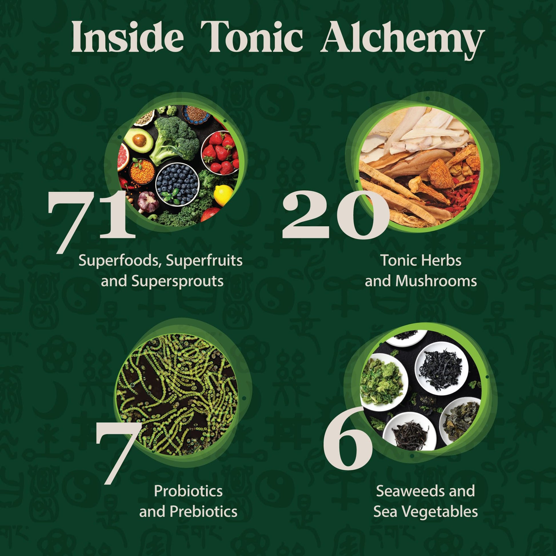Dragon Herbs Tonic Alchemy Superfood Greens Powder with 91 Ingredients: Tonic Herbs, Ashwagandha, Mushrooms, Probiotics, Super Greens, Seaweeds, Fruits, Vegetables, Spirulina - 30 Servings Dragon HerbsAu supplements