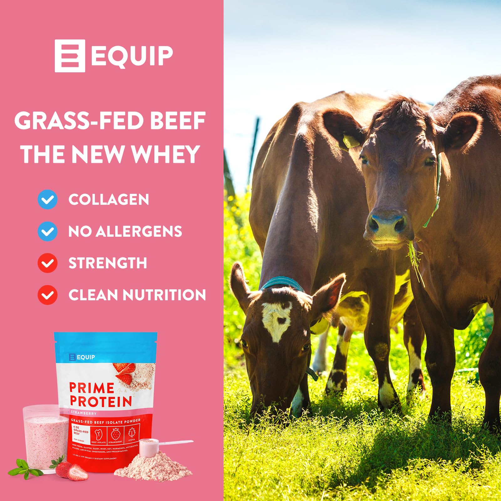 Equip Foods Prime Protein - Grass-Fed Beef Protein Powder Isolate -Paleo and Keto EquipUS supplements