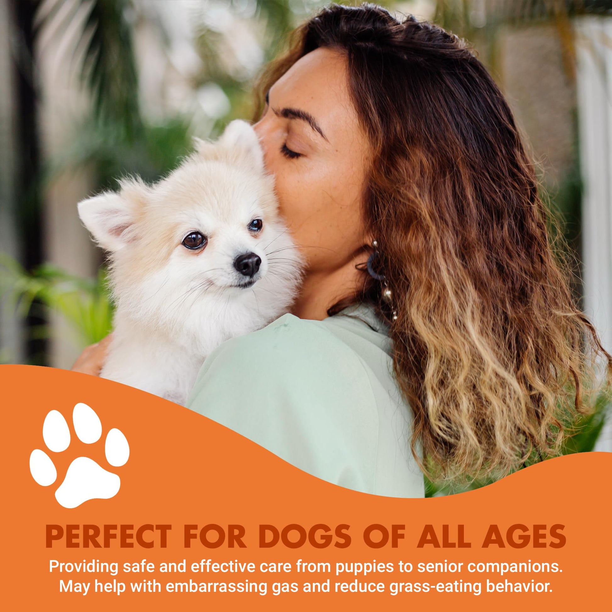 Pre & PostBiotic Support for Dogs – Digestive Upset, Stool Quality & Sensitive Stomach Support – Easy Liquid Formula for Picky Eaters LIQUID-VETAu supplements