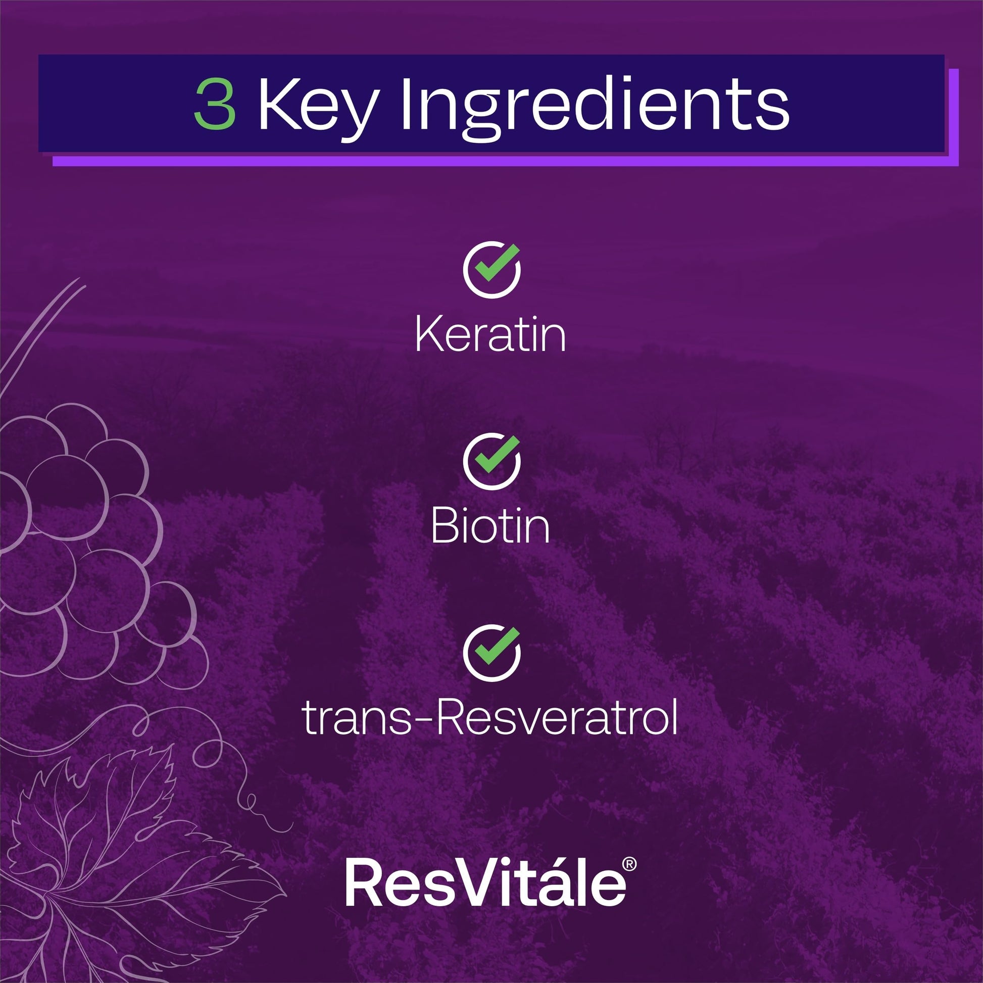 ResVitále Keratin Hair Enhance - Keratin Supplement for Hair Growth - 60 Capsules ResVitaleAu supplements