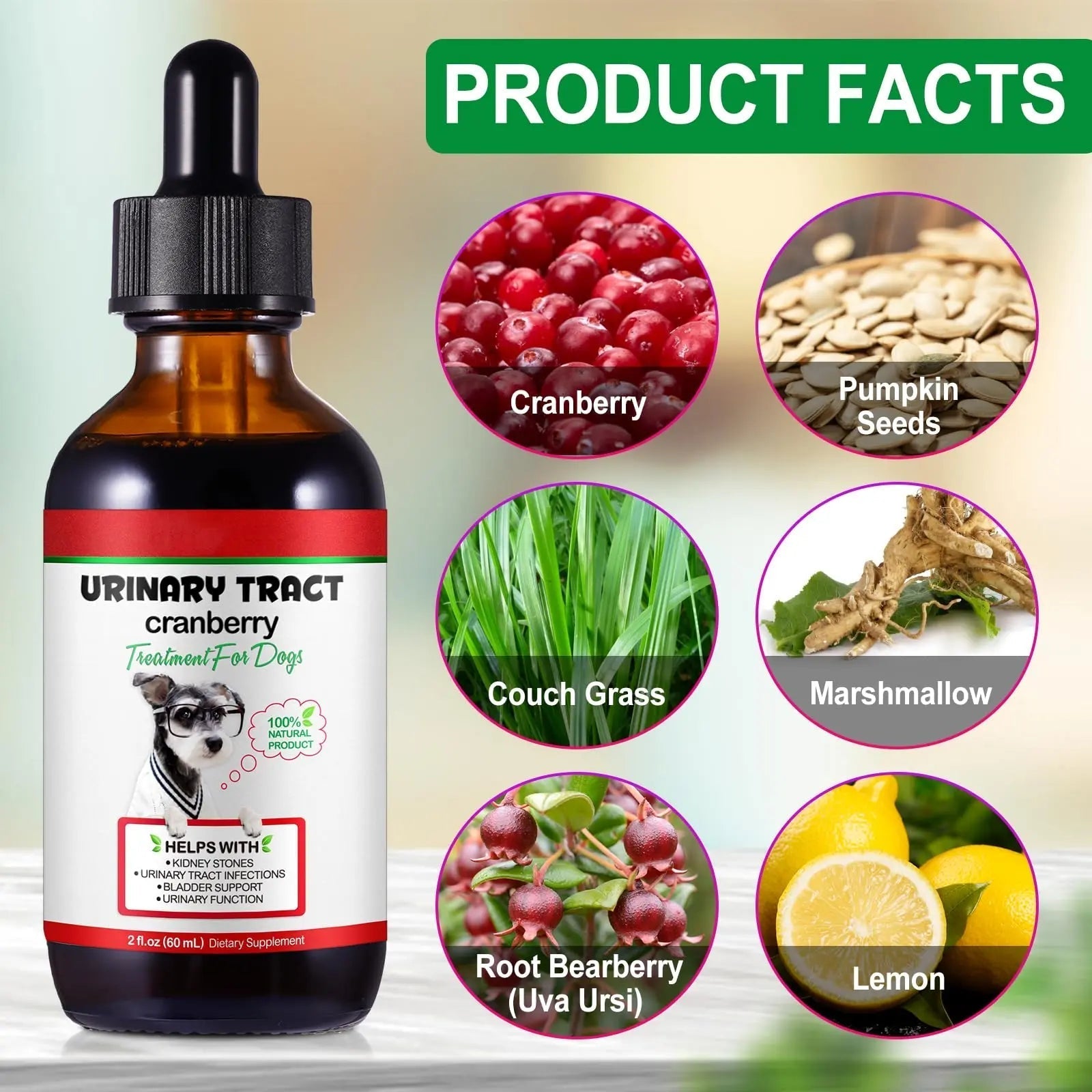 Dog UTI Treatment - Urinary Tract Infection Treatments, Kidney+Bladder Support Supplement, Natural Cranberry Extract for Dogs, Supports Urinary and Digestive Health (2 Fl Oz (Pack of 2)) OnznozAu supplements