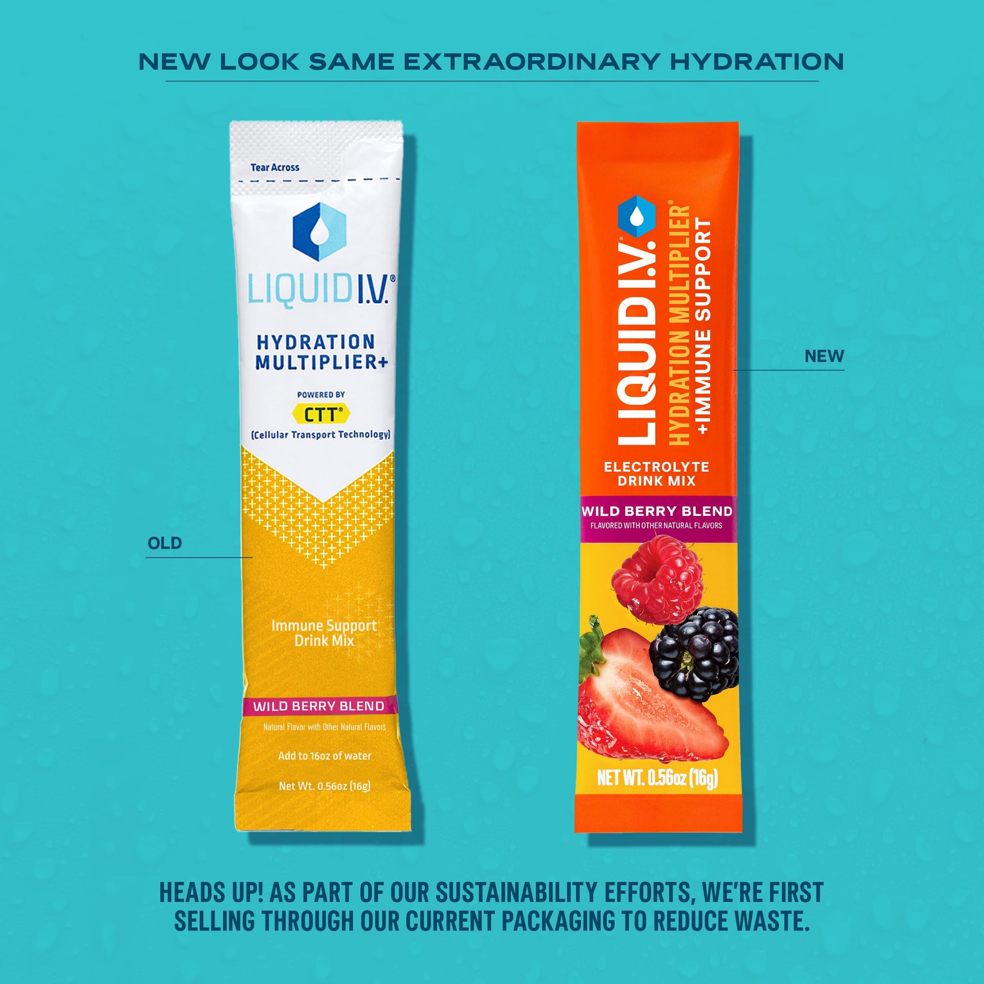 Liquid I.V.® Hydration Multiplier +Immune Support - Wild Berry Blend | Electrolyte Powder Drink Mix | 1 Pack (14 Servings) Liquid I.V.US supplements