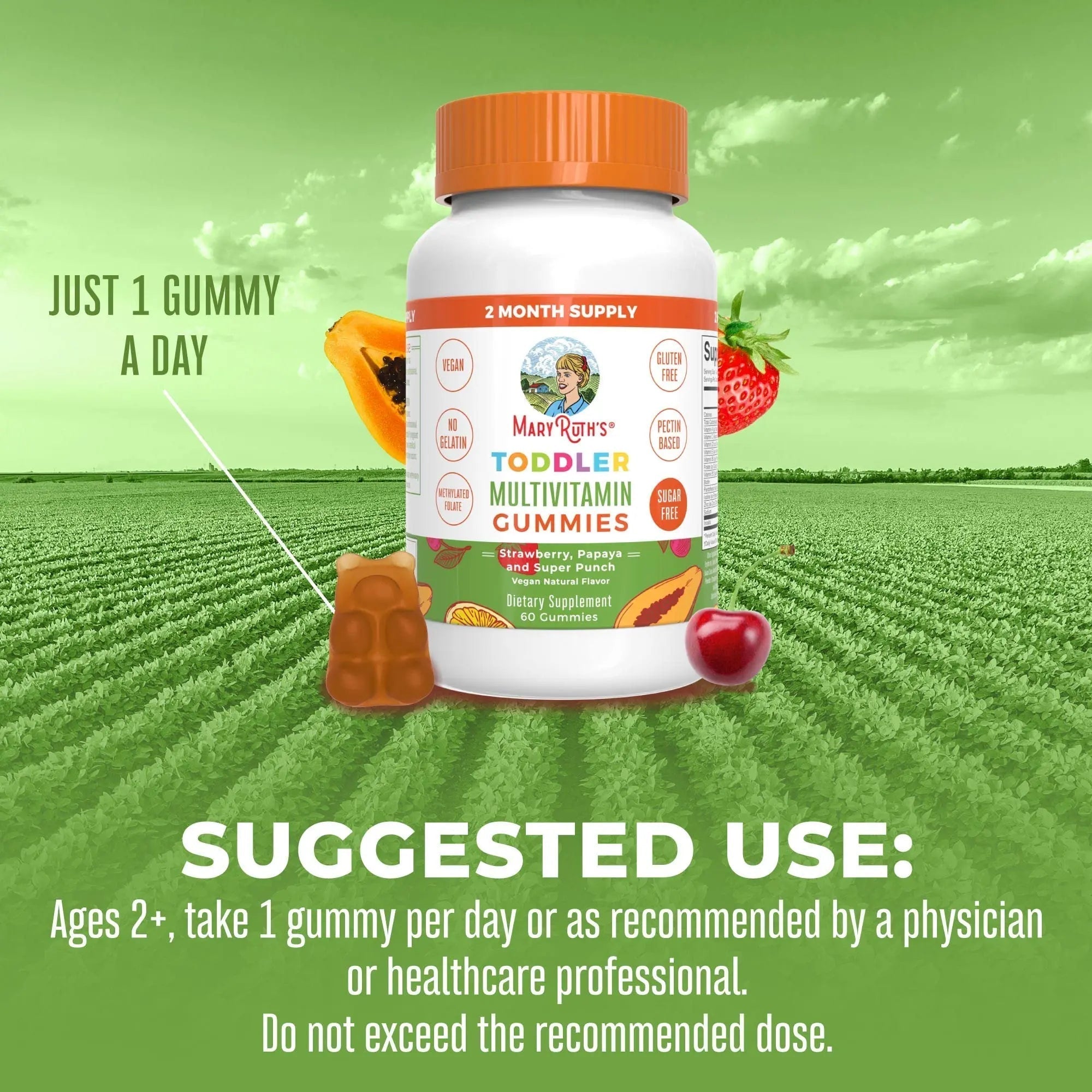 MaryRuth Organics Sugar Free Vitamin Gummies for Kids Age 2 | 2 Month Supply Multivitamin with Vitamin C, D3, Zinc | 1 Gummy Per Day | Toddler Vitamins MaryRuth OrganicsAu supplements