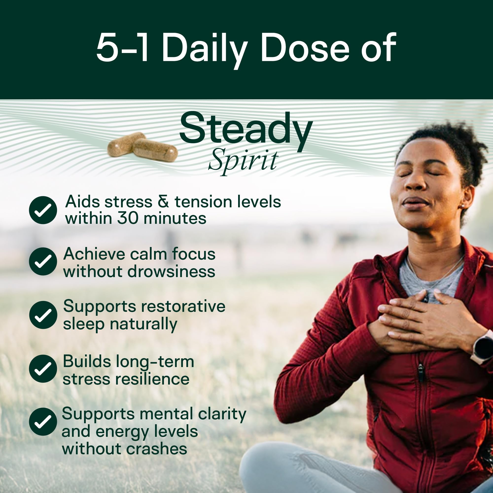 Adapt Naturals Steady Spirit Stress, Anxiety & Mood Support Supplement for Women and Men with Ashwagandha, L-Theanine, Holy Basil, Saffron, and Lemon Balm - Stress Relief Supplement - 30 Day Supply ADAPT NATURALS BY CHRIS KRESSERAu supplements