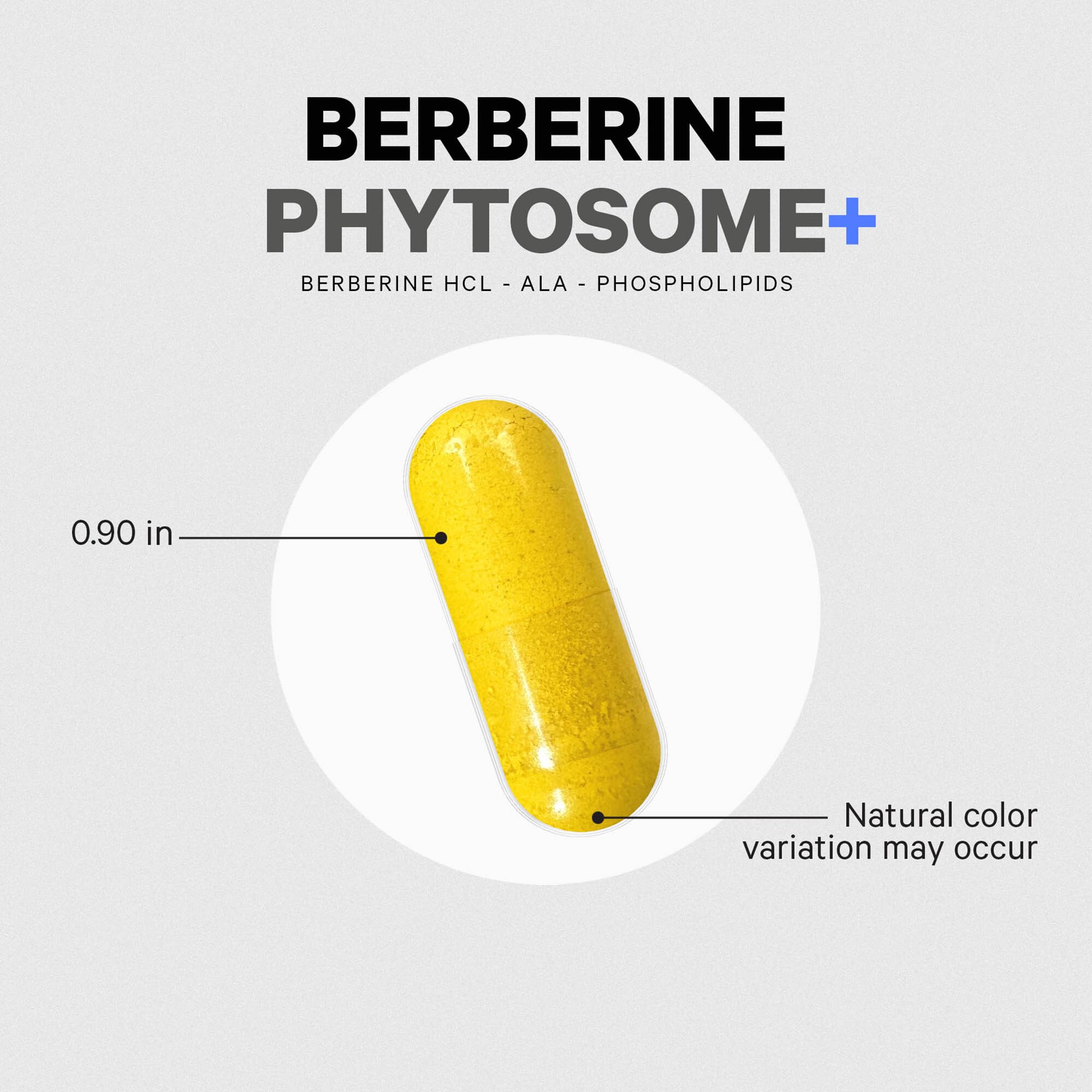 Codeage Berberine Phytosome Supplement - Berberine HCL, Alpha Lipoic Acid, Phospholipid Complex - 2-Month Supply - Berberine HCL - Berberine Hydrochloride - Gluten-Free, Non-GMO - 60 Capsules CodeageAu supplements