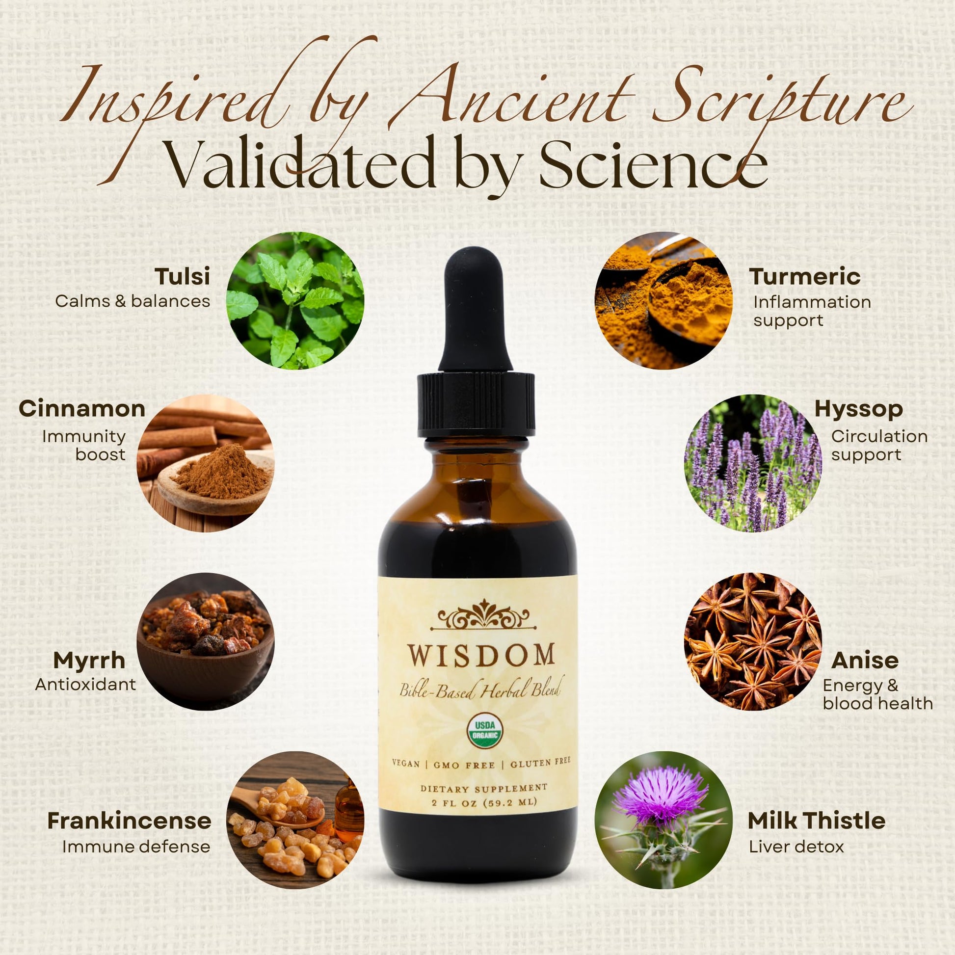 Organic Turmeric, Frankincense and Myrrh – Herbal Supplement Blend for Energy, Detox, Focus, Immunity & Stress – Non-GMO Vegan Tonic with Milk Thistle – Wisdom Bible Based Blend – 2oz Liquid Drops Wisdom NutritionAu supplements