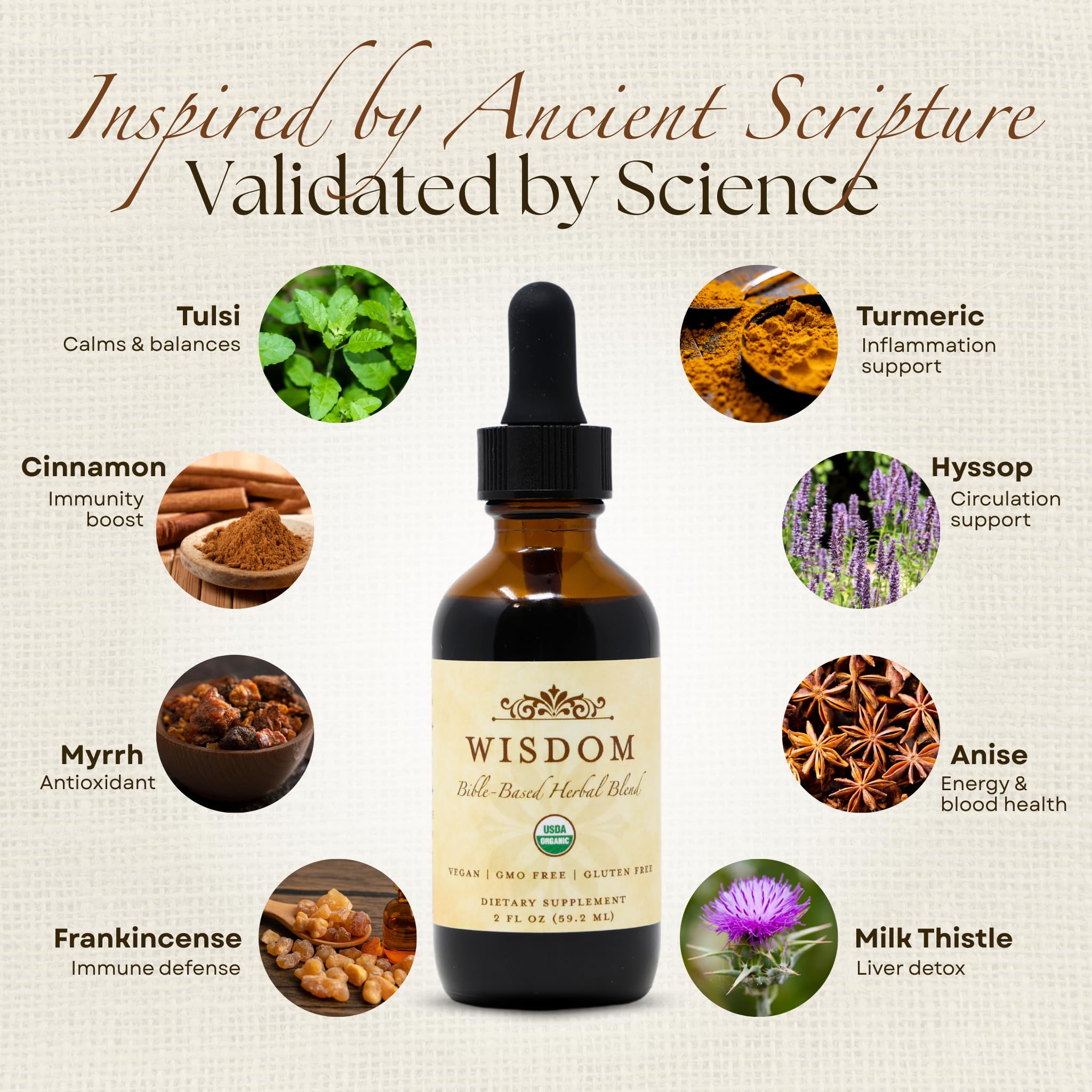 Organic Turmeric, Frankincense and Myrrh – Herbal Supplement Blend for Energy, Detox, Focus, Immunity & Stress – Non-GMO Vegan Tonic with Milk Thistle – Wisdom Bible Based Blend – 2oz Liquid Drops Wisdom NutritionAu supplements
