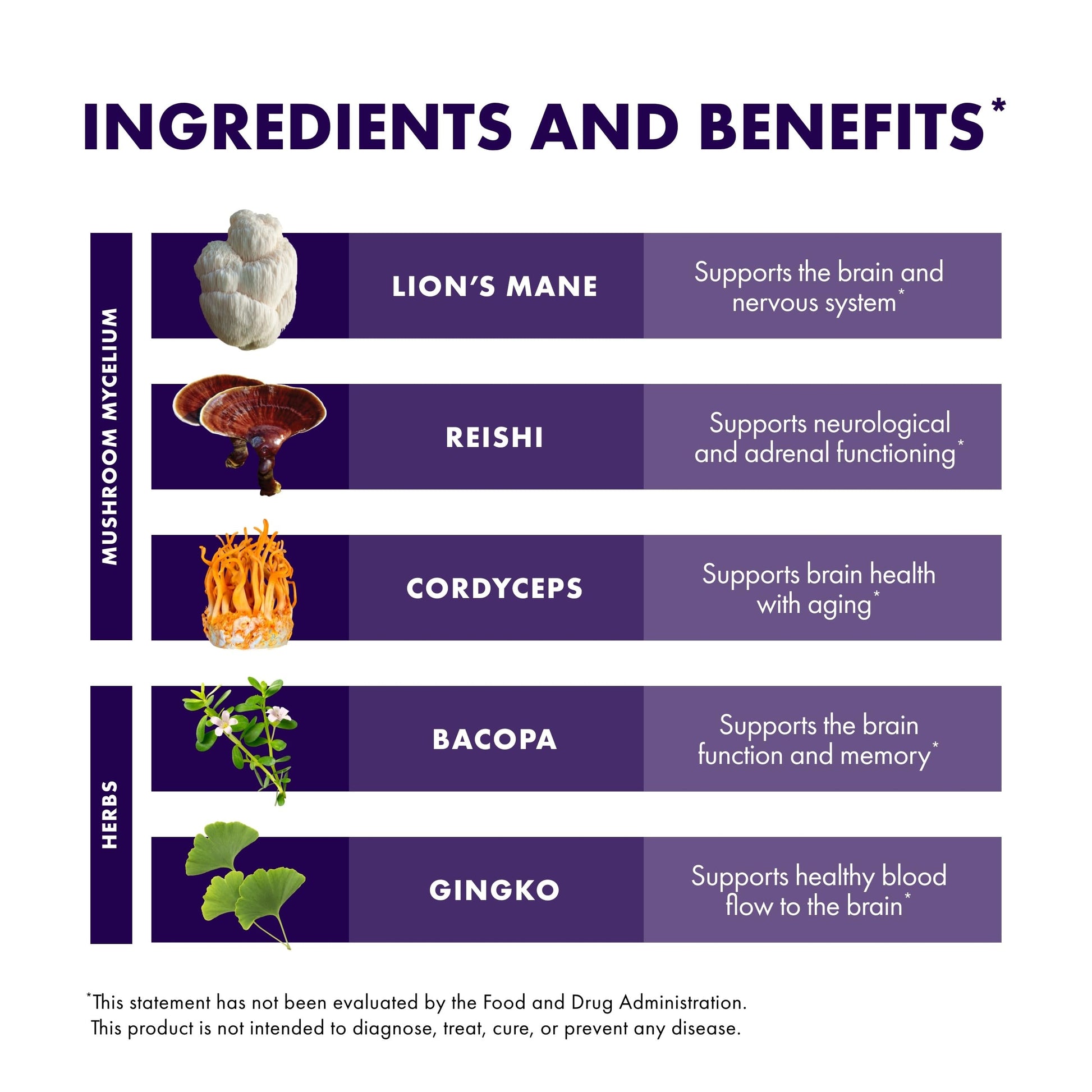 Host Defense MycoBotanicals Brain* Capsules - Brain Support Supplement with Lion's Mane, Reishi & Cordyceps Mushroom - Herbal Supplement for Memory & Focus Support - 60 Capsules Host DefenseAu supplements