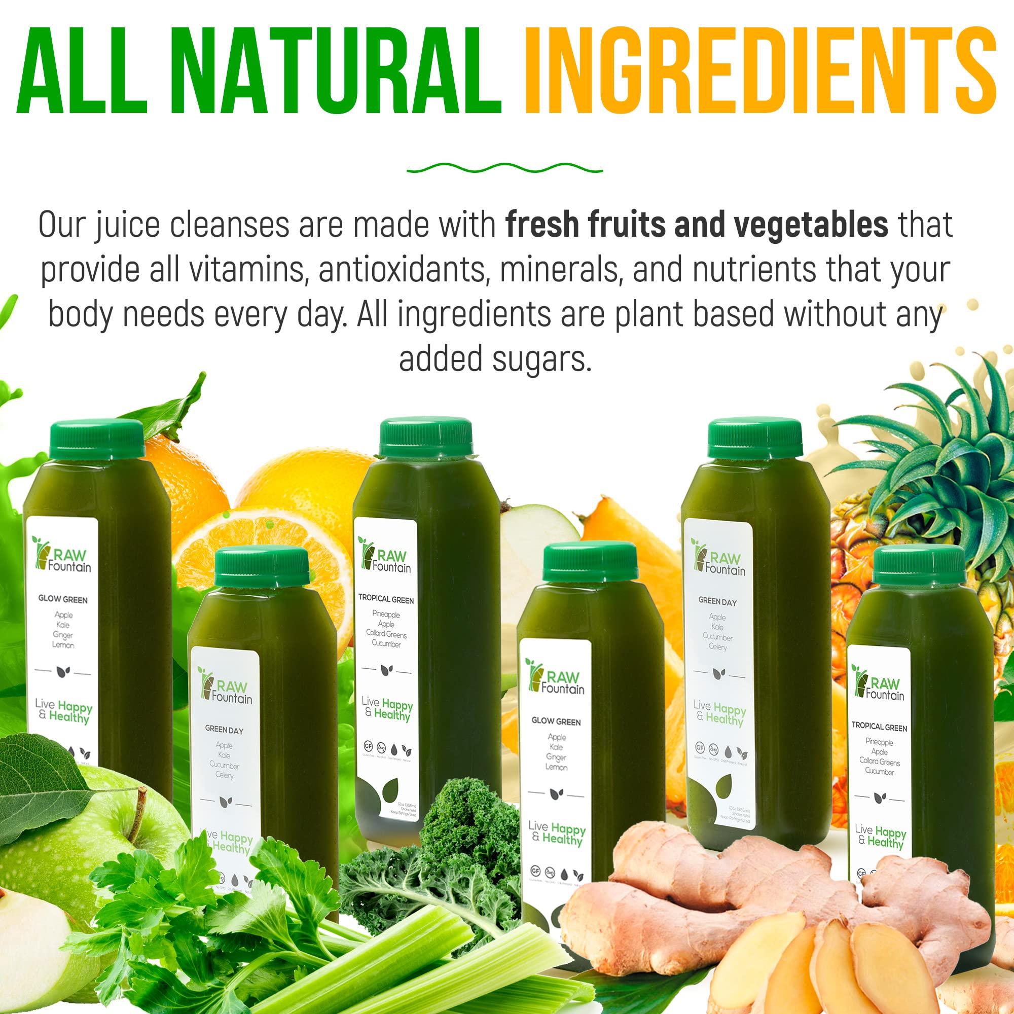 Raw Fountain 5 Day Green Juice Cleanse, All Natural Raw, Vegan Detox, Cold Pressed Raw FountainUS supplements