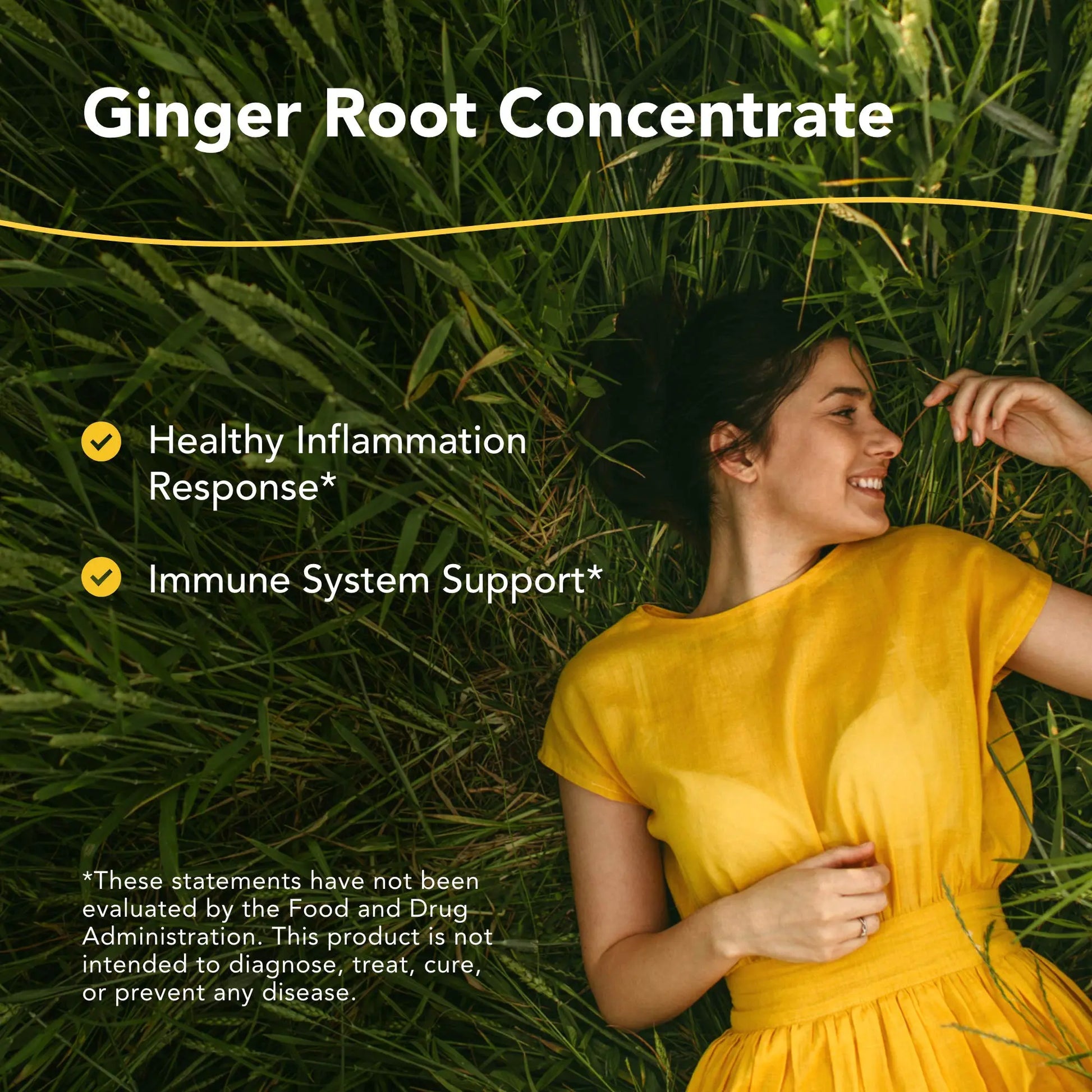 NORTH AMERICAN HERB & SPICE Inflam-eeZ - 90 Capsules - Supports Healthy Immune & Inflammatory Response - Ginger Root, Camu Camu Berries, Bromelain & Papain Plus - Non-GMO - 45 Total Servings NORTH AMERICAN HERB & SPICEAu supplements