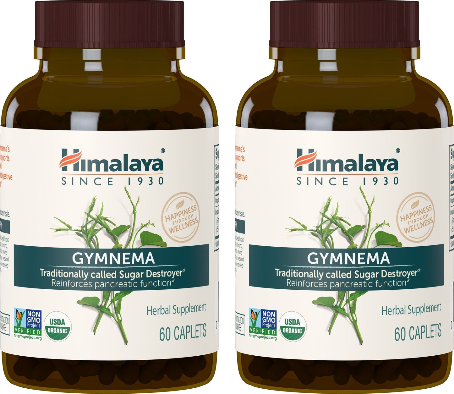 Himalaya Organic Gymnema Sylvestre for Glucose Metabolism, 700 mg HimalayaUS supplements
