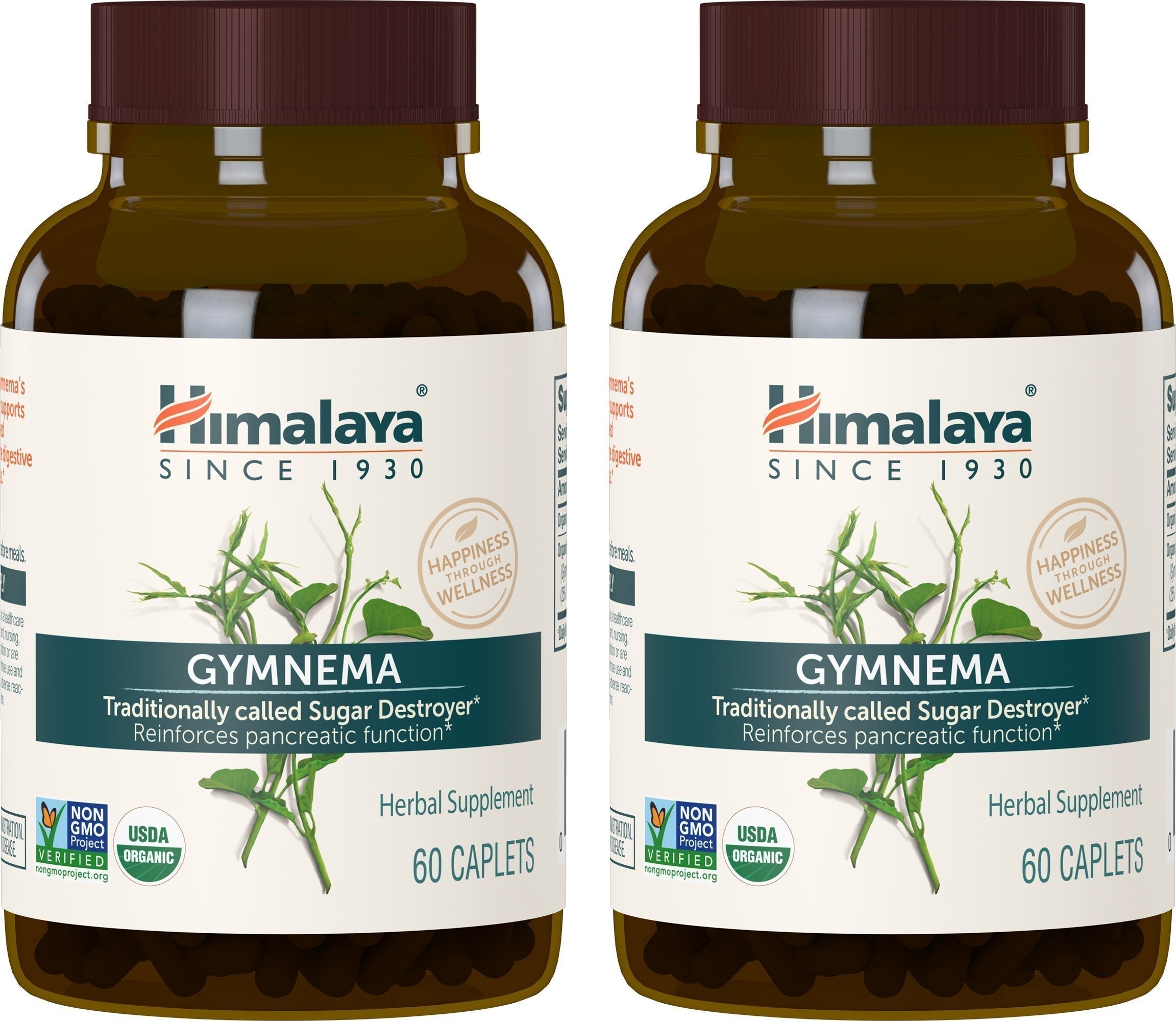 Himalaya Organic Gymnema Sylvestre for Glucose Metabolism, 700 mg HimalayaUS supplements