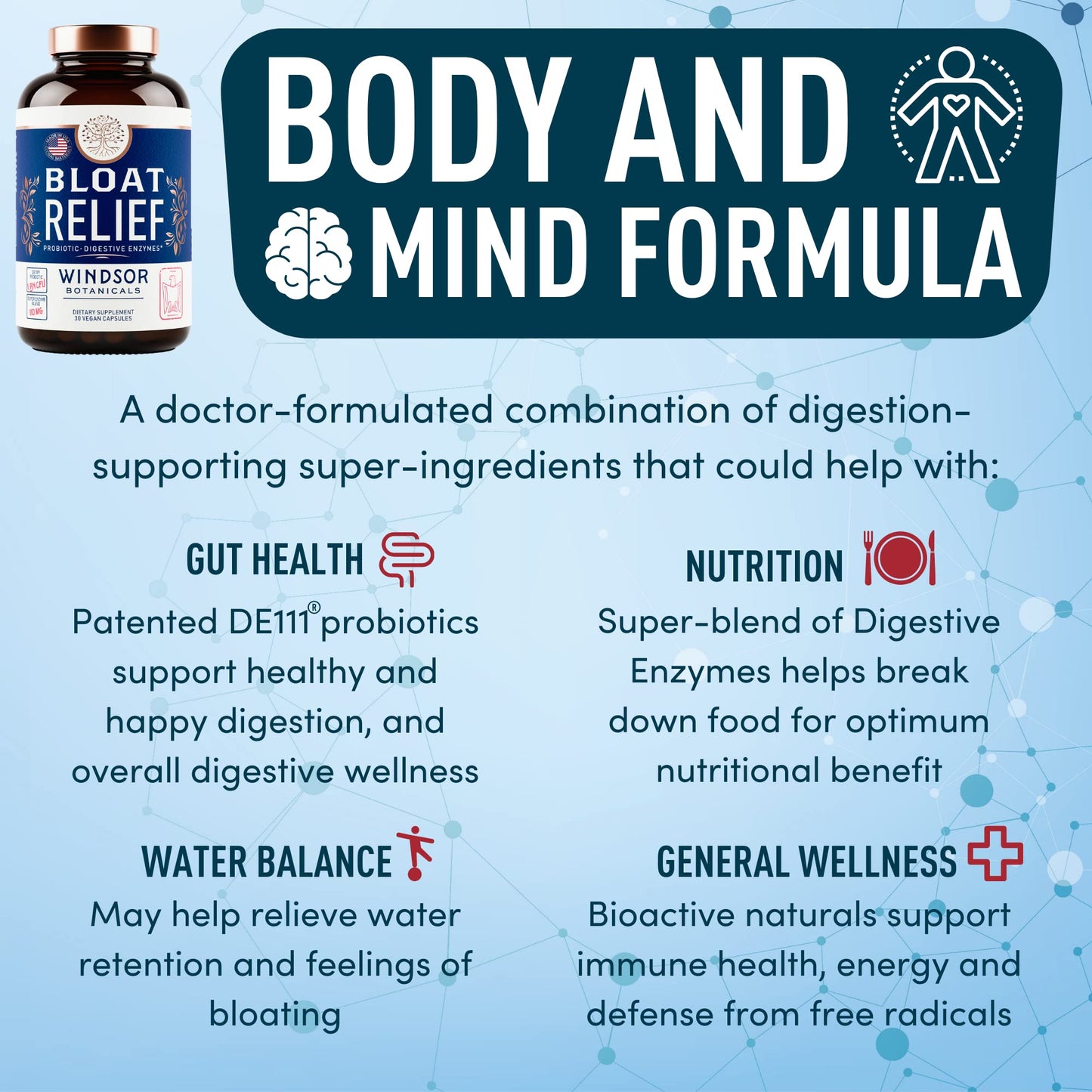 Bloat Relief Probiotic and Digestive Enzymes - Anti Bloating Turmeric, Fennel, Bromelain IBS WINDSOR BOTANICALSUS supplements