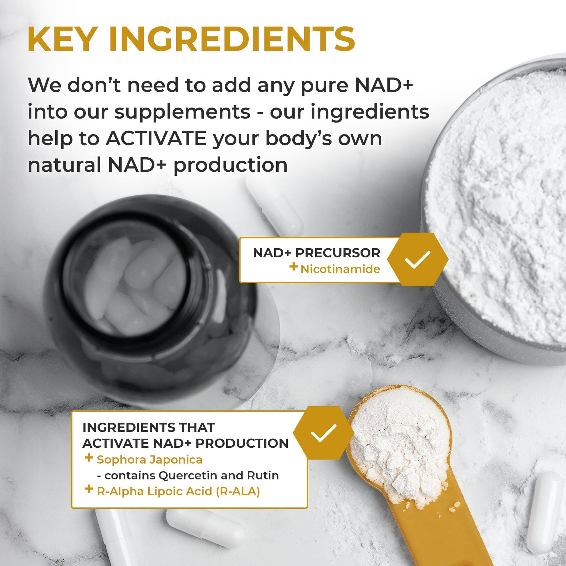 Nuchido Time+ NAD Supplement for Men & Women - Advanced Formula for Healthy Aging, Energy, Focus, Cellular Health & Longevity - Nicotinamide, Alpha Lipoic Acid, Quercetin - 90 Capsules Nuchido Time+Au supplements