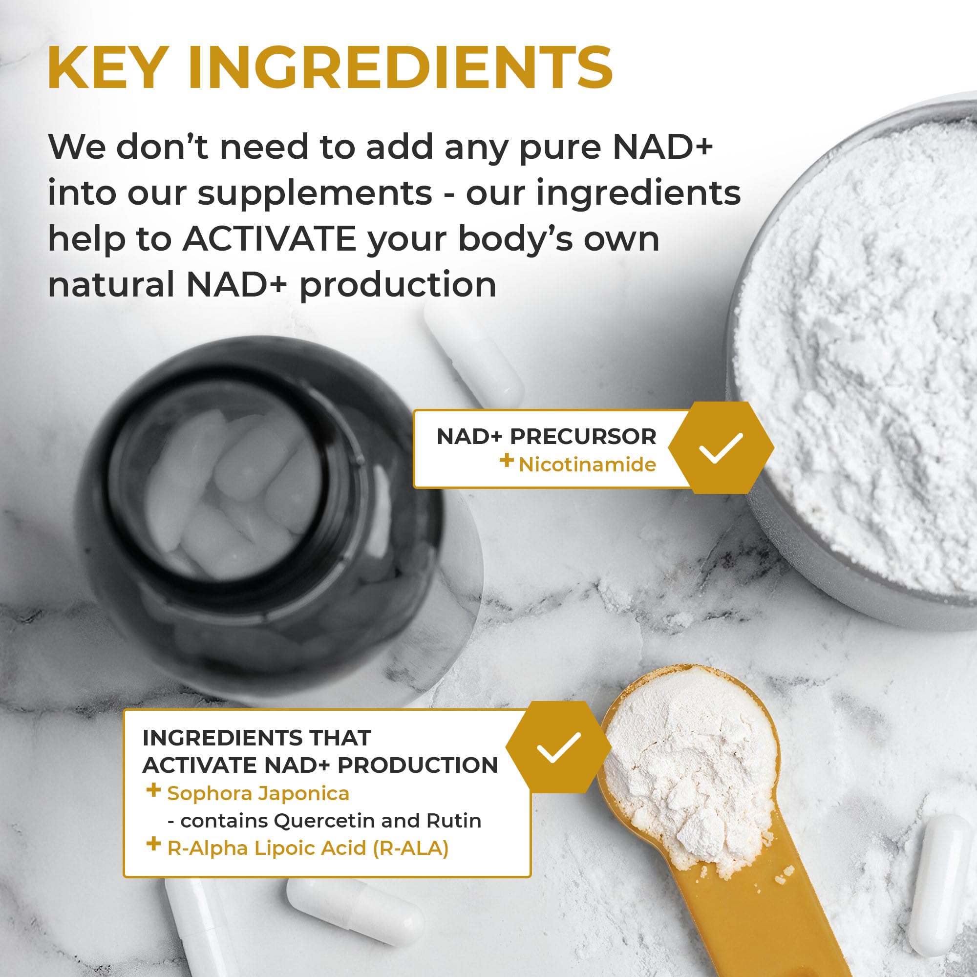 Nuchido Time+ NAD Supplement for Men & Women - Advanced Formula for Healthy Aging, Energy, Focus, Cellular Health & Longevity - Nicotinamide, Alpha Lipoic Acid, Quercetin - 90 Capsules Nuchido Time+Au supplements