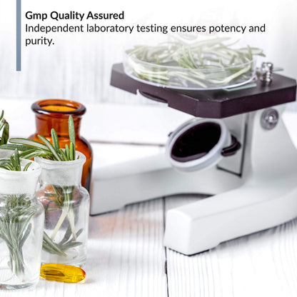 BioTrust OmegaKrill EPA & DHA Omega 3 Supplement, Fish and Krill Oil to Provide Bio TRUSTUS supplements