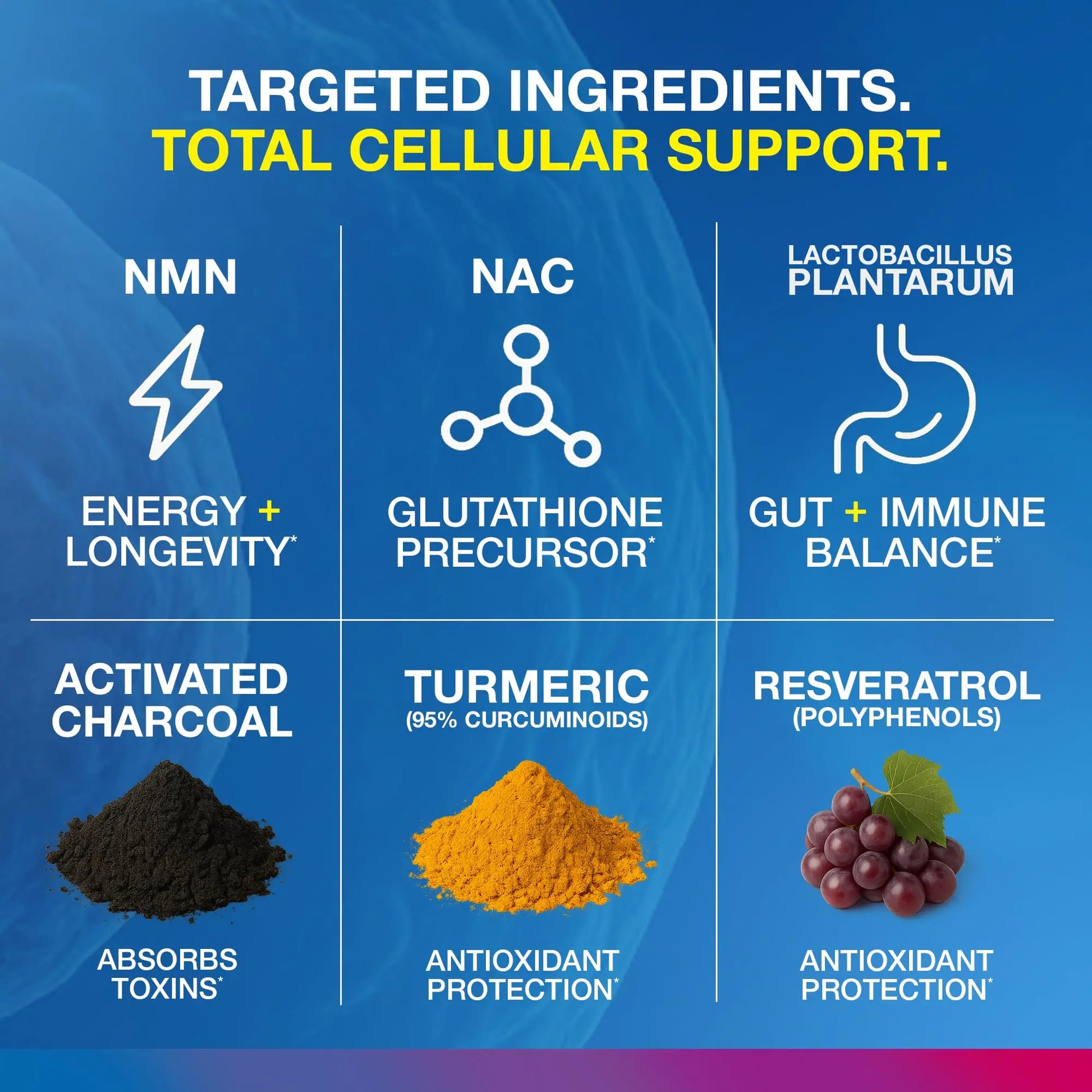 Vitology MP-PRO Microplastics Defense | 15 Billion CFU Probiotic + Antioxidant Blend | NMN, NAC, Glutathione, Resveratrol & Charcoal | Supports Cellular Detox, Longevity & Gut Health – 60 Capsules VitologyAu supplements