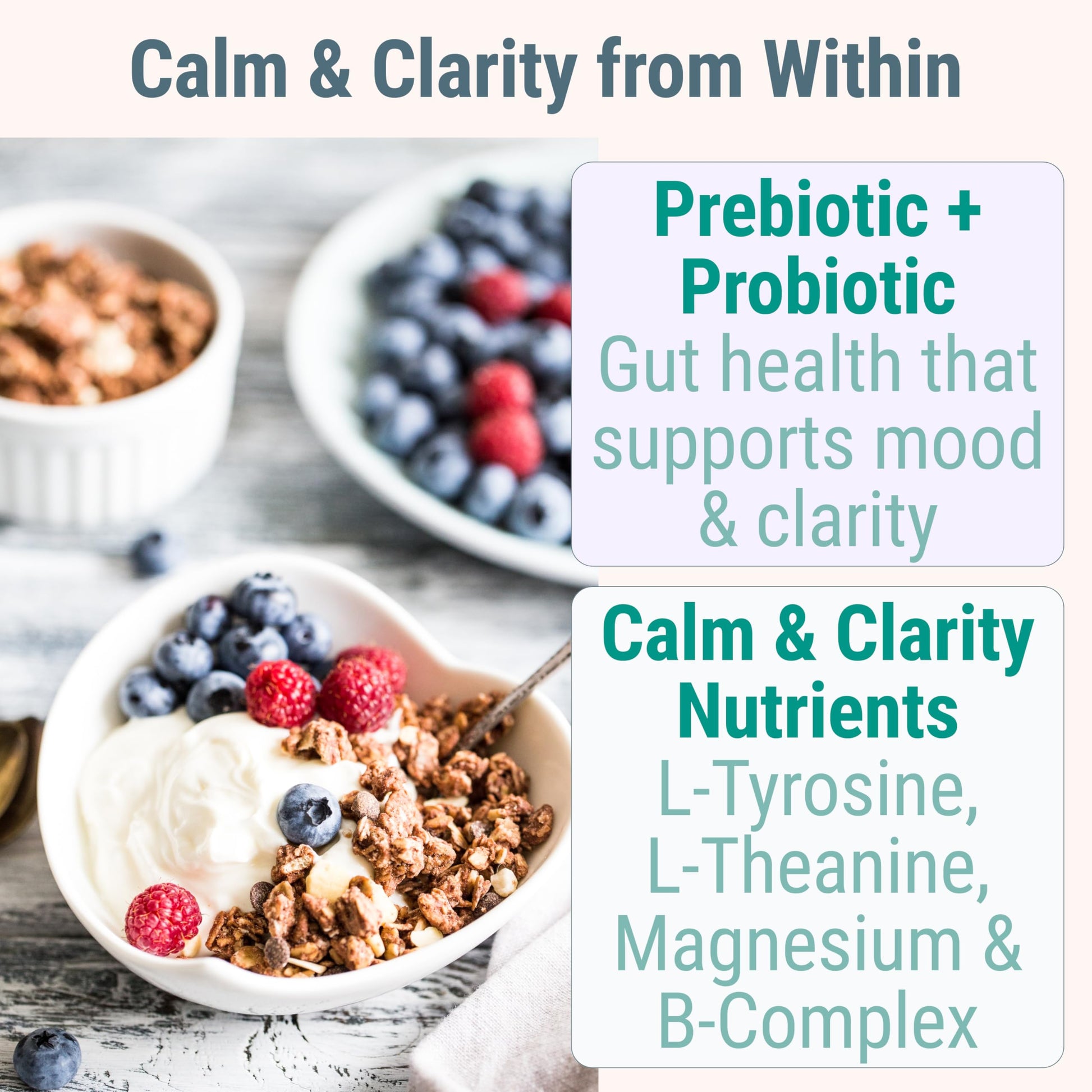 L-Tyrosine L-Theanine Methylated Vitamin B Complex Magnesium Glycinate Probiotic Fiber for Kids Adults Men Women w. Chicory Root Inulin 5-MTHF B12 P5P B6 B9 B5 B3 Powder Capsule Pill Supplement Alt SHIZAMAu supplements