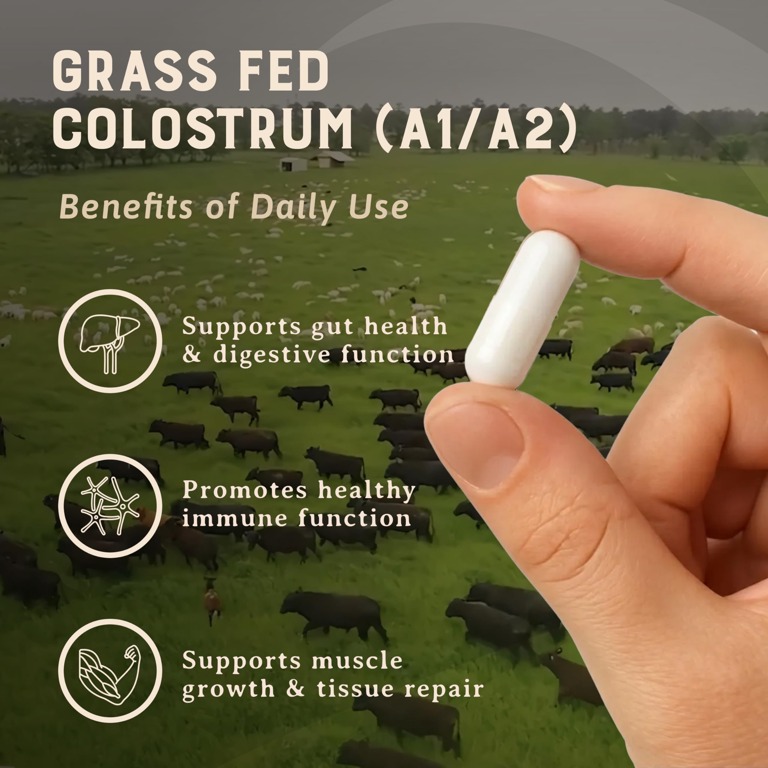 HEART & SOIL 100% Grass Fed & Finished Colostrum Supplement from Regenerative Cattle for Gut, Muscle & Immune Health – 3000mg Bovine Colostrum Capsules - Gut Health for Men & Women –180 Capsules HEART & SOILAu supplements