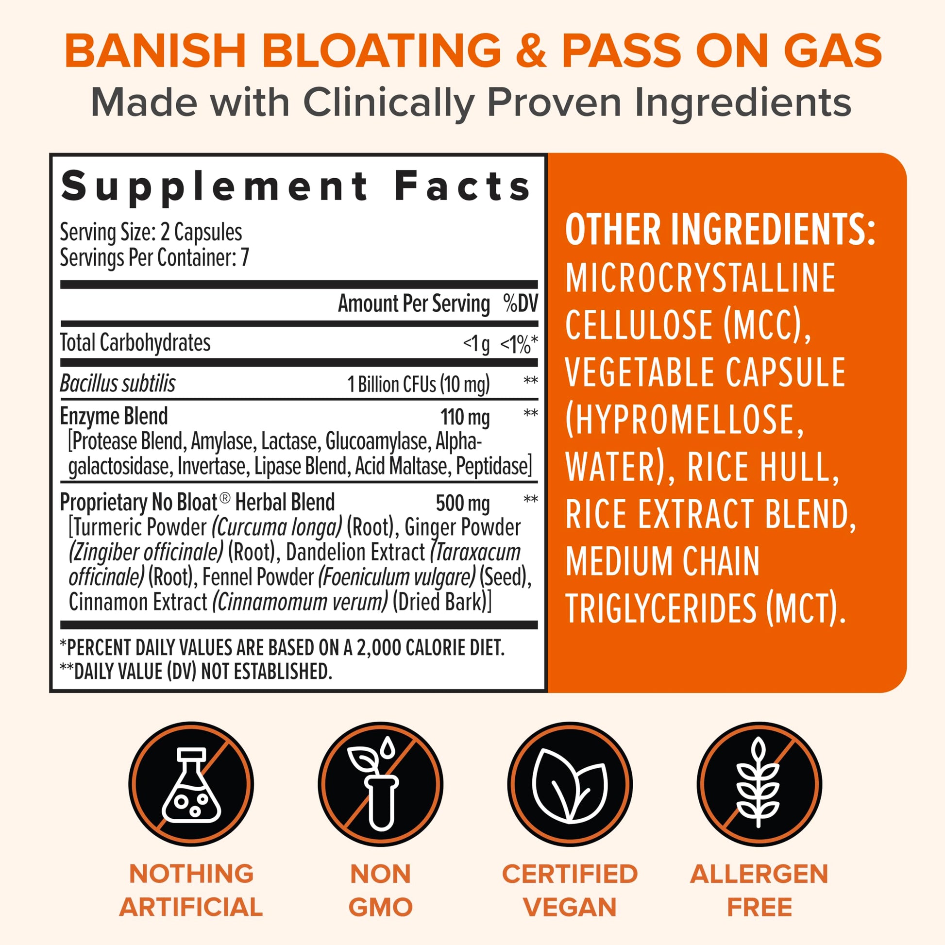 Zenwise Health No Bloat Probiotics for Women and Men Digestive Health with Ginger, Dandelion, and Lactase, Digestive Enzymes for Gas and Bloating Relief - Vegan Water Retention Pills - 14 CT Zenwise HealthAu supplements