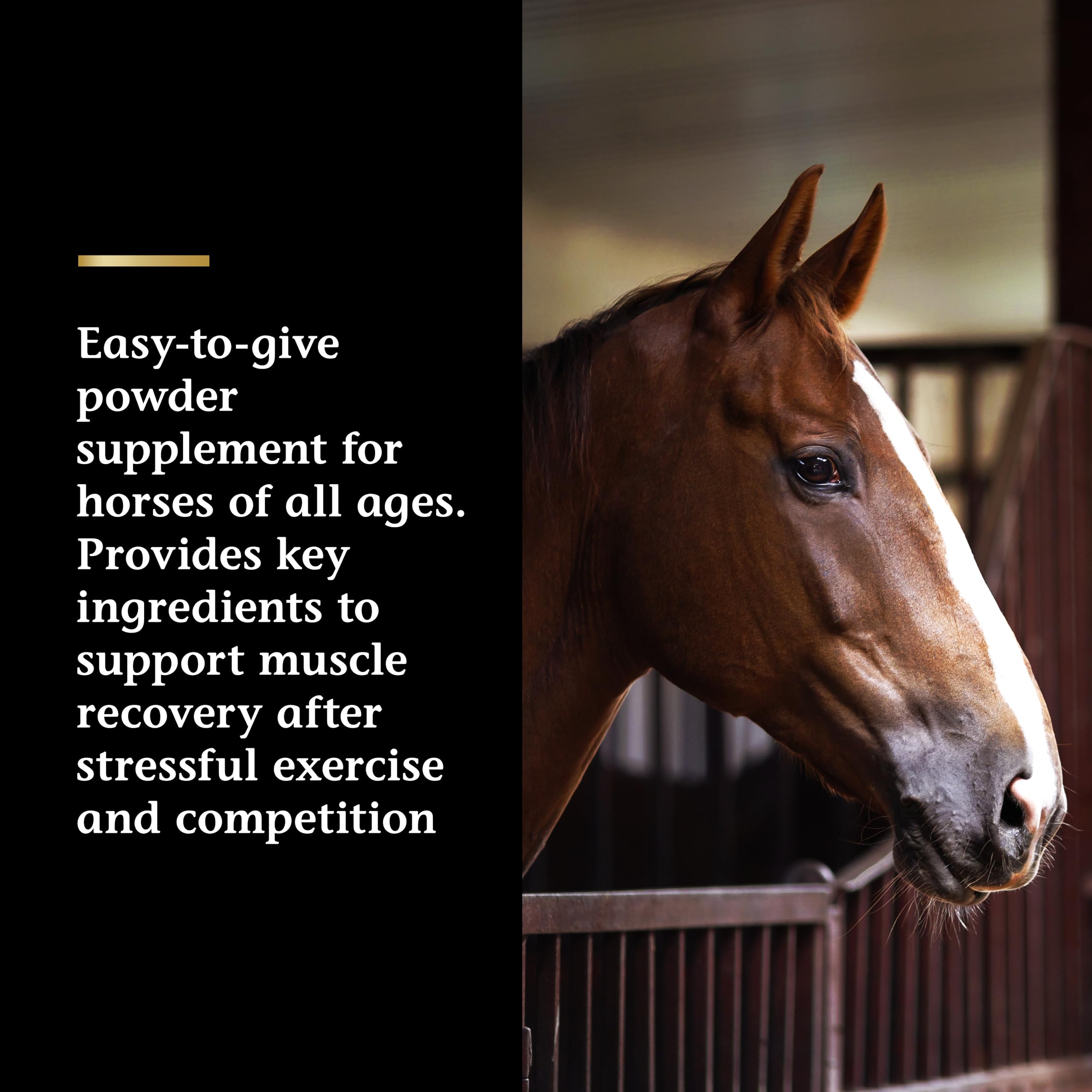 Vita Flex Pro Recovery by the Makers of Lactanase, Post Performance Horse Supplements 40 g, Show Safe Muscle Recovery Supplements, Amino Acids for Horses, Strength & Joint Health Vita FlexAu supplements