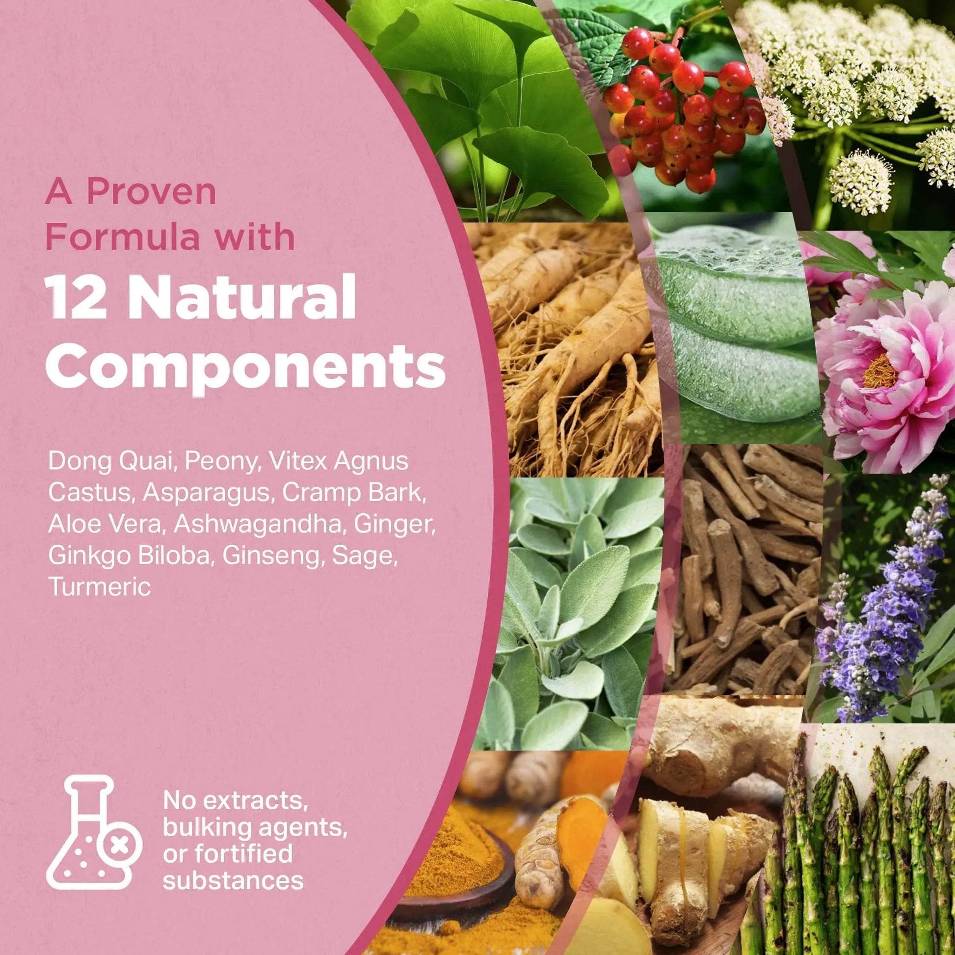 Strength & Spices Hormone Balance 100% Natural Estrogen Supplement – 12 Ingredients w Dong Quai - 60 Vegan UK Made 1000mg Capsules – Fertility and Menstrual Comfort STRENGTH & SPICES100% Natural Vegan Food SupplementsAu supplements