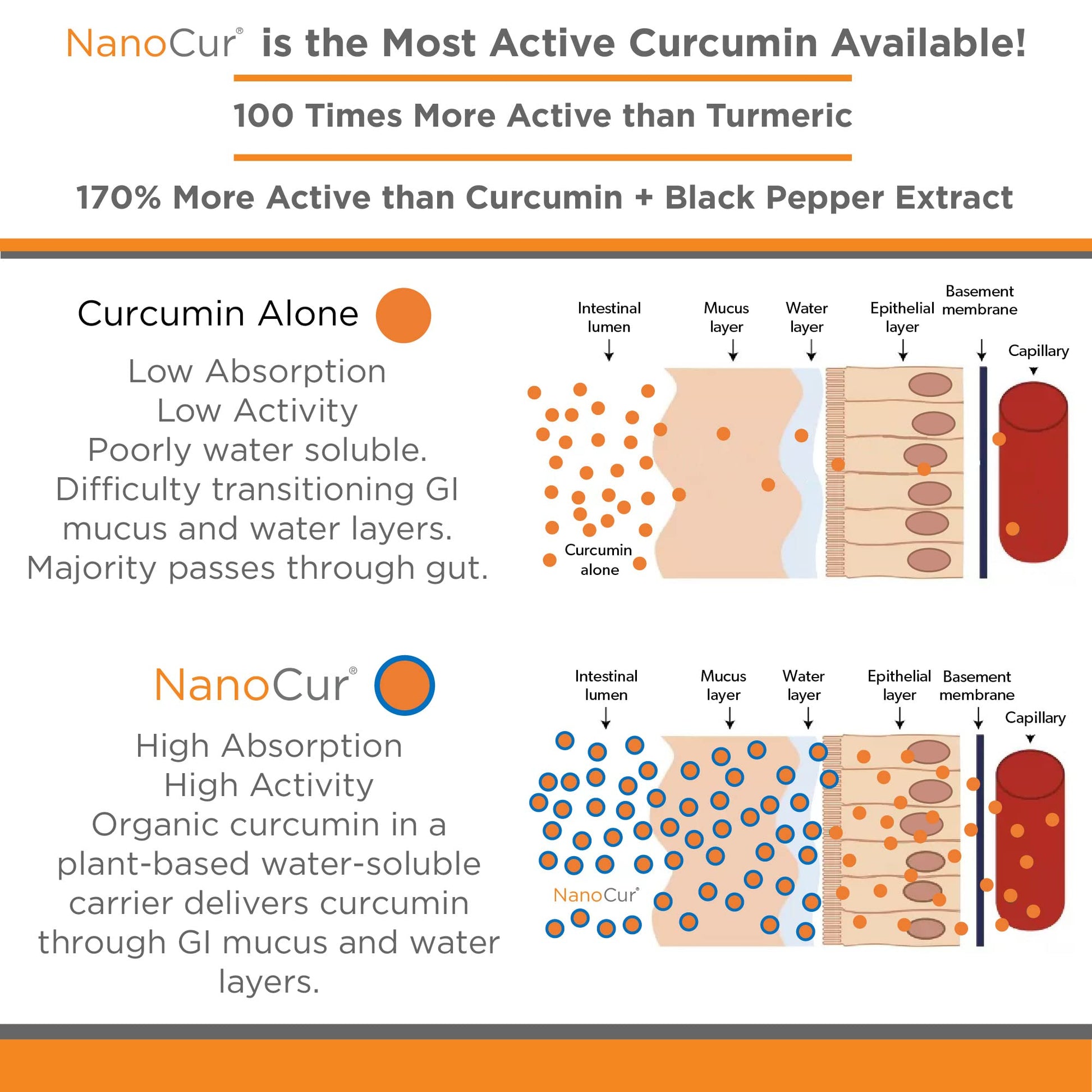 Nanocur Turmeric Curcumin - 100x More Active Than Turmeric, 170% More Active Than NanocurAu supplements