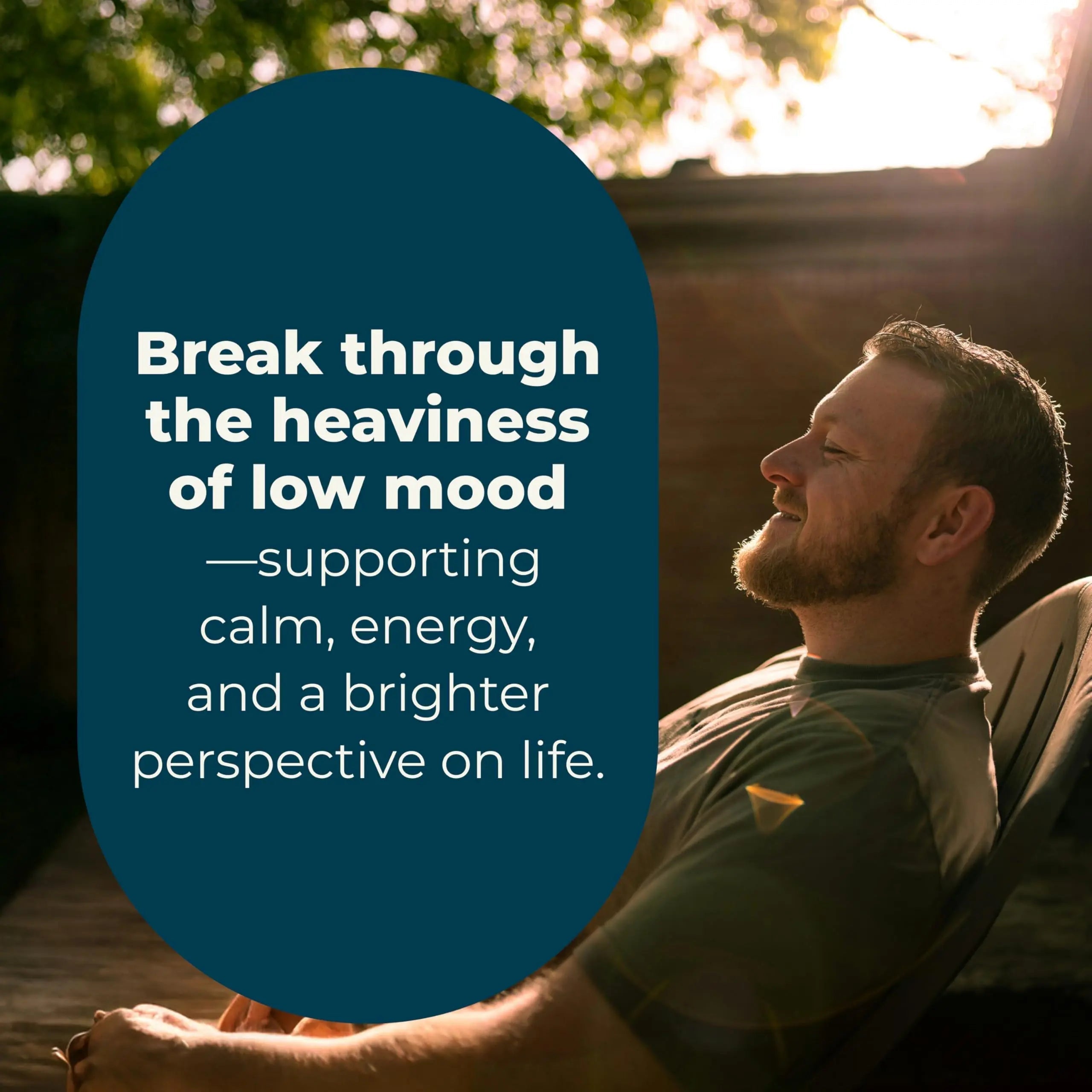 LifeSeasons - Mood Stabili-T - Positive Mood Booster - Enhanced Calmness and Happiness - Relaxed and Balanced Mind LifeSeasonsAu supplements