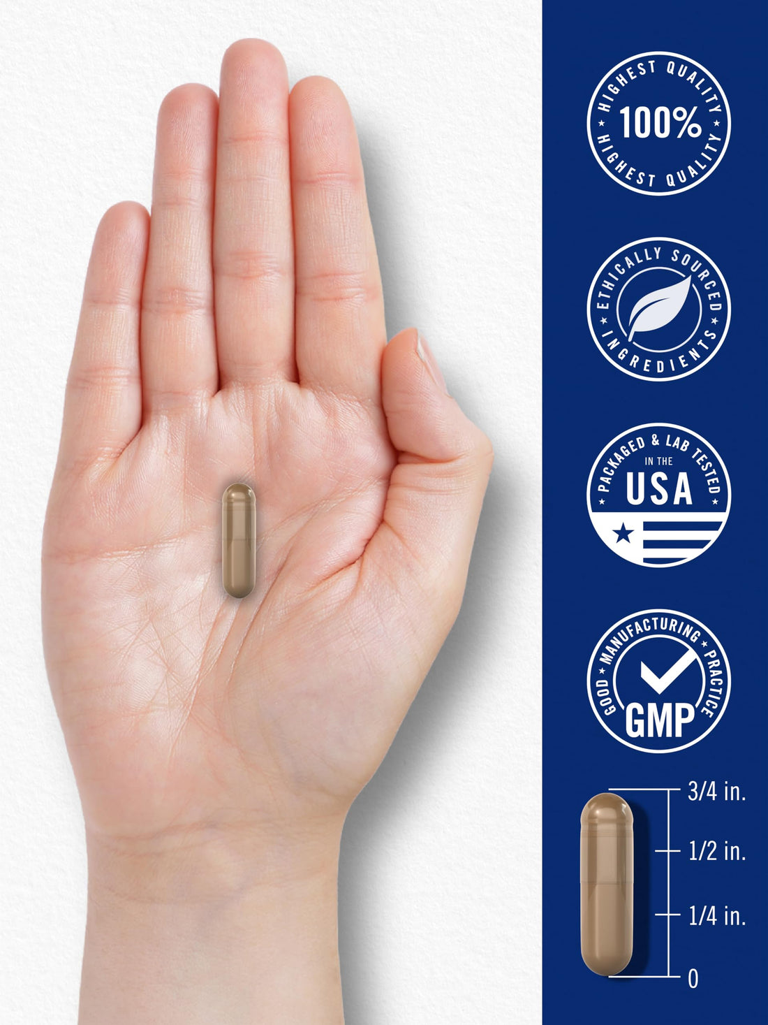 Carlyle Blood Circulation Supplement | 180 Capsules | Supports Healthy Circulation | Non-GMO, Gluten Free CarlyleAu supplements