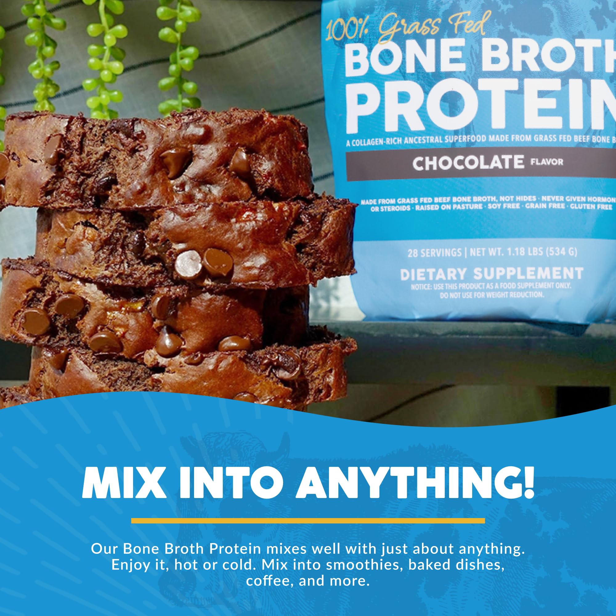 Paleovalley 100% Grass Fed Bone Broth Protein Powder - Chocolate - Rich in Collagen PaleovalleyUS supplements