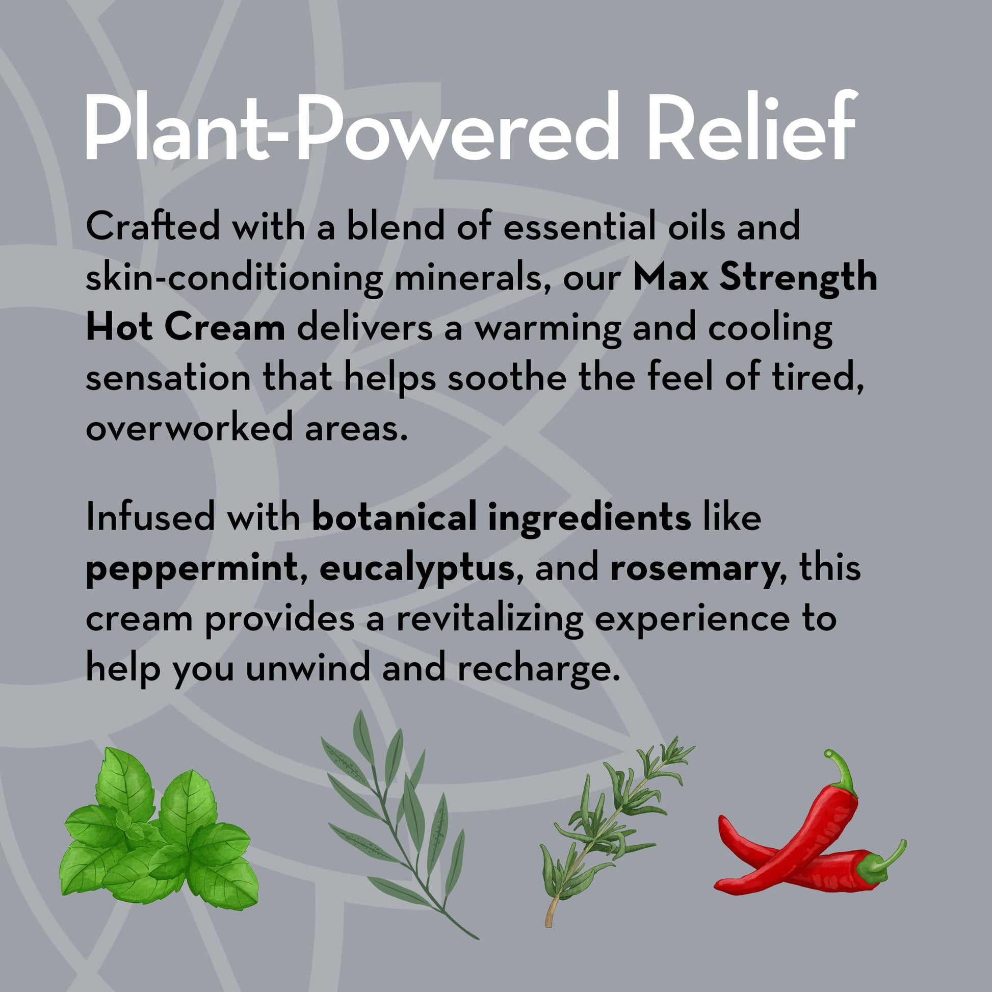Pure Body Naturals Max Strength Hot Cream – Warming & Cooling Cream with Capsaicin and Menthol – Soothing Comfort for Overworked Muscles – 8.8 oz Pure Body NaturalsAu supplements
