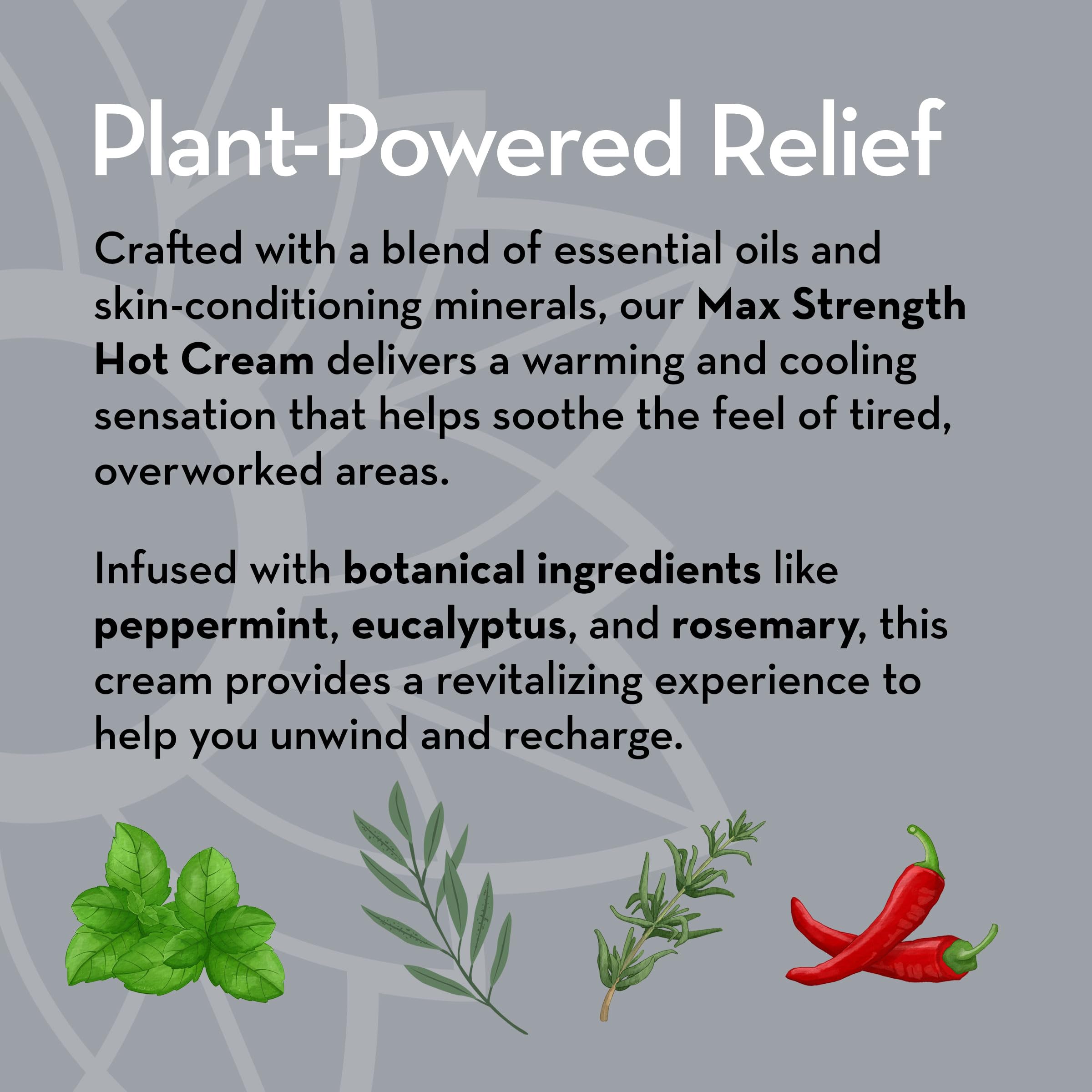 Pure Body Naturals Max Strength Hot Cream – Warming & Cooling Cream with Capsaicin and Menthol – Soothing Comfort for Overworked Muscles – 8.8 oz Pure Body NaturalsAu supplements