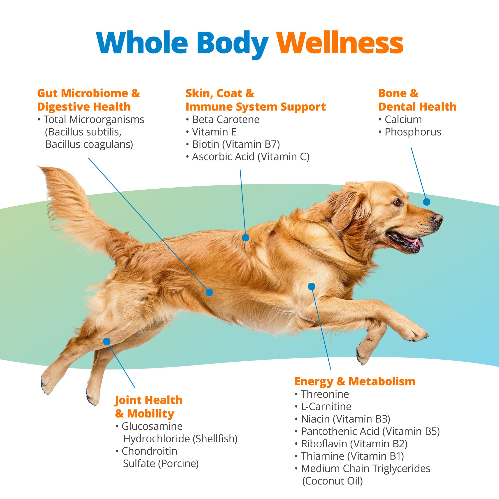 5Strands Dog Multivitamin Chews, 10-in-1, Vitamins & Postbiotics, All Ages & Breeds - Digestion, Brain, Organs, Heart, Mobility, Vision, Skin & Coat, Immunity - Dog Supplement (Peanut Butter, 90ct) 5StrandsAu supplements