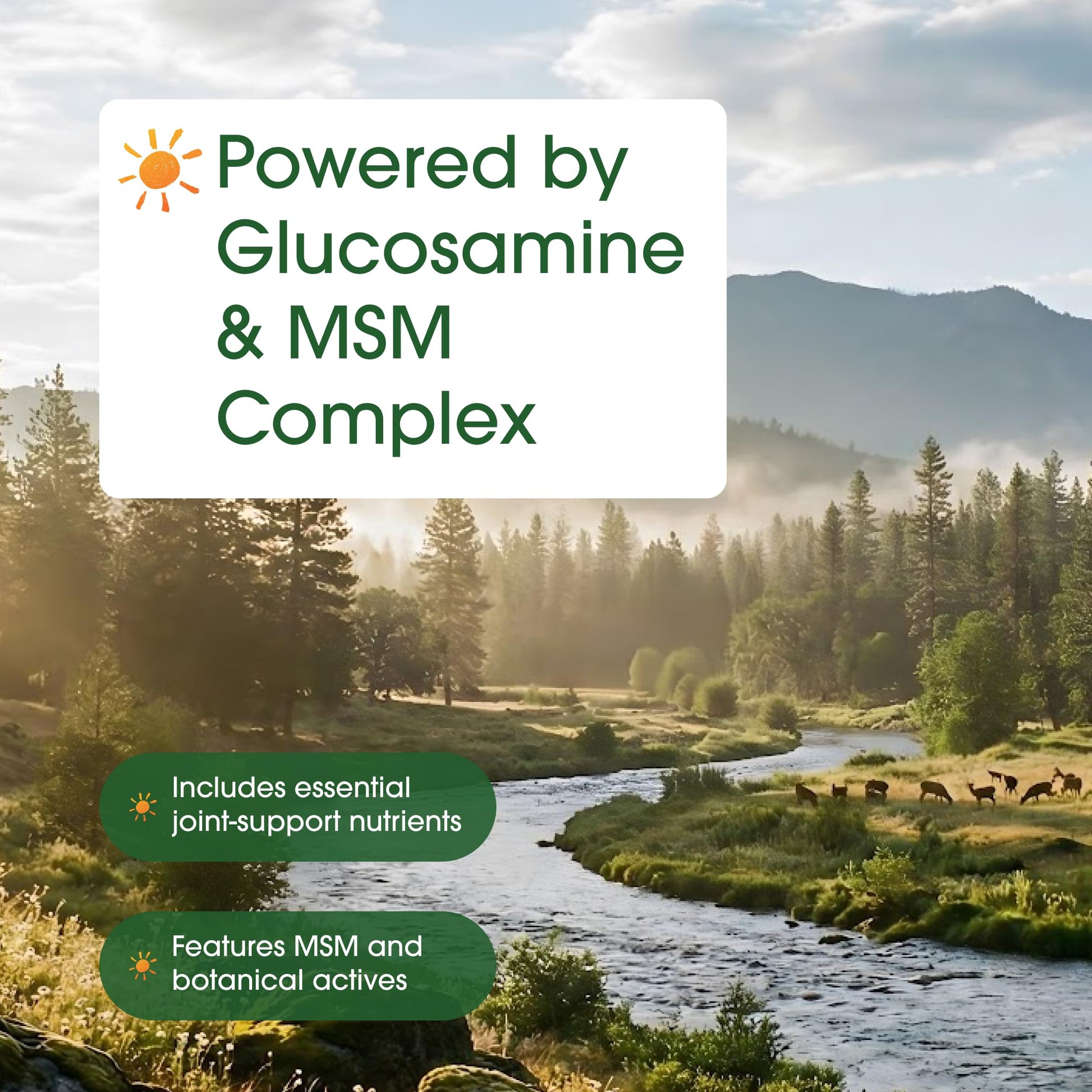 NatureBell Advanced Glucosamine Chondroitin & MSM - 240 Capsules - 10-in-1 Joint Support Complex* - Includes Hyaluronic Acid, Turmeric, Glucosamine, Collagen & More NatureBellAu supplements