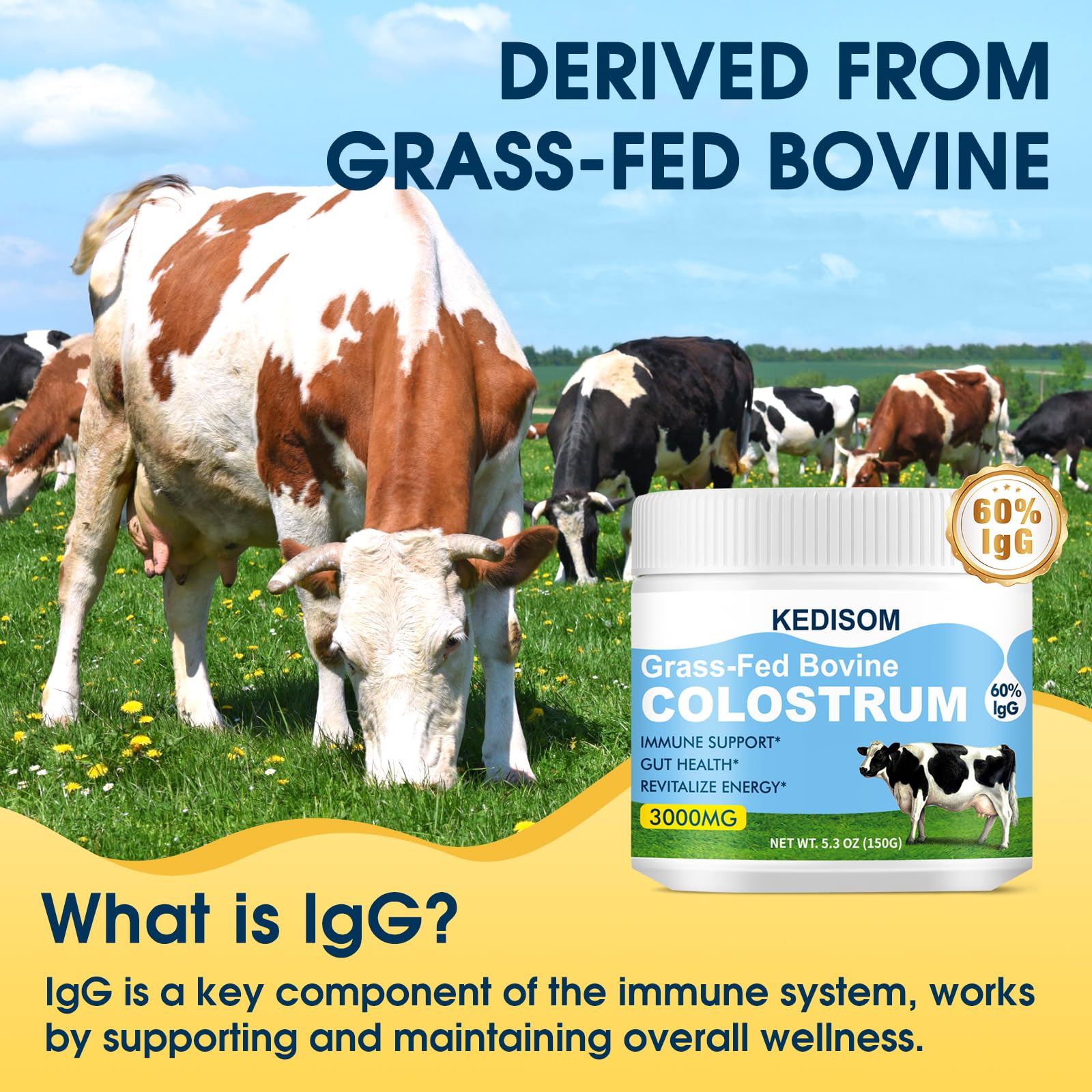 KEDISOM Grass-Fed Bovine Colostrum Supplement Powder - 60% High IgG 3000 mg for Gut Health, Immune Support - Easy to Mix Natural Liposomal Colostrum Superfood, Unflavored, 50 Servings KEDISOMAu supplements