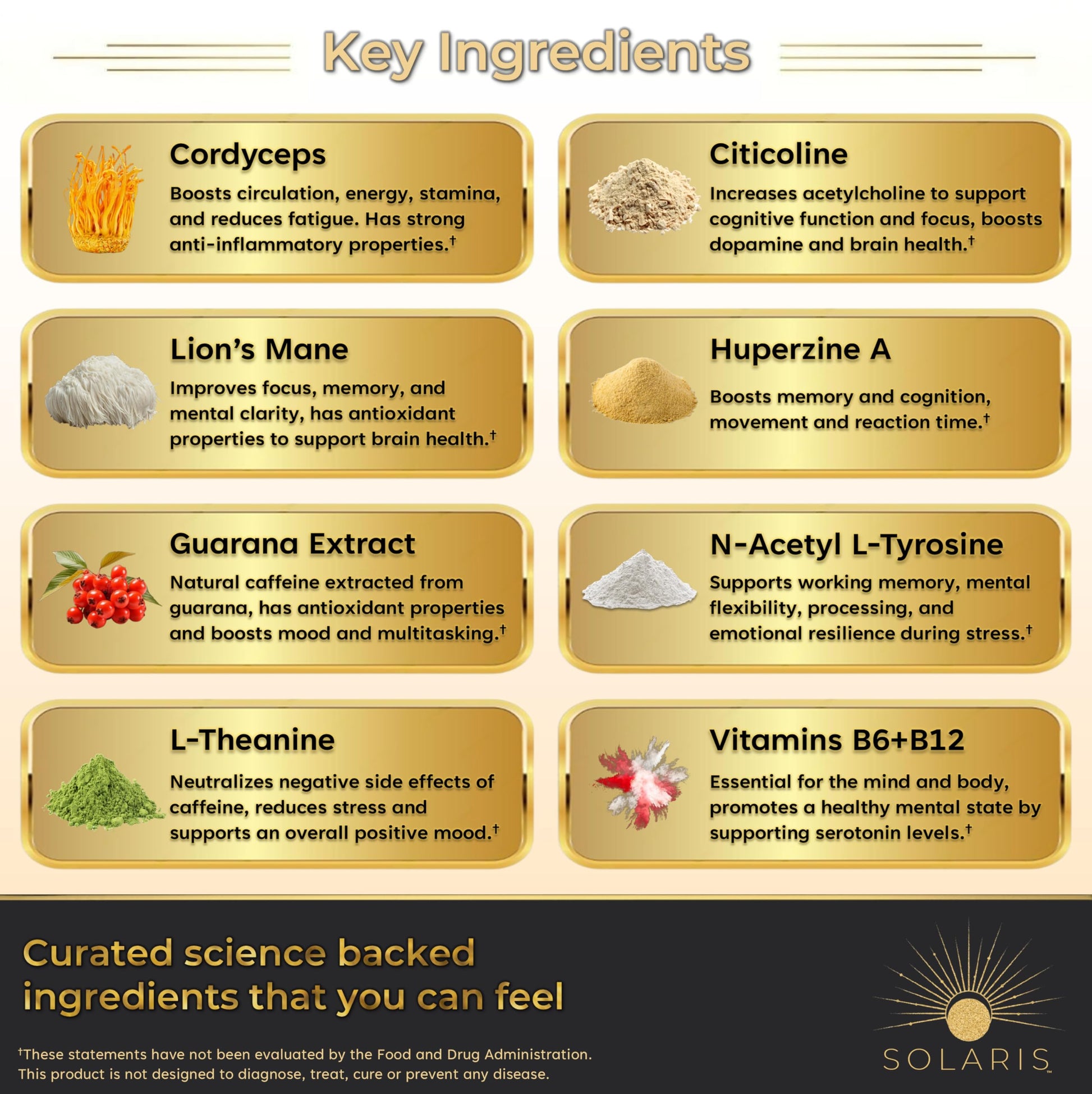 Solaris Mushroom Productivity Wellness Shots | Focus, Circulation, Memory | 4000mg of Cordyceps & Lion's Mane | Citicoline, L-Theanine, Vitamin B6/B12 | Coffee Alternative (6-Pack) Solaris ExtractsAu supplements