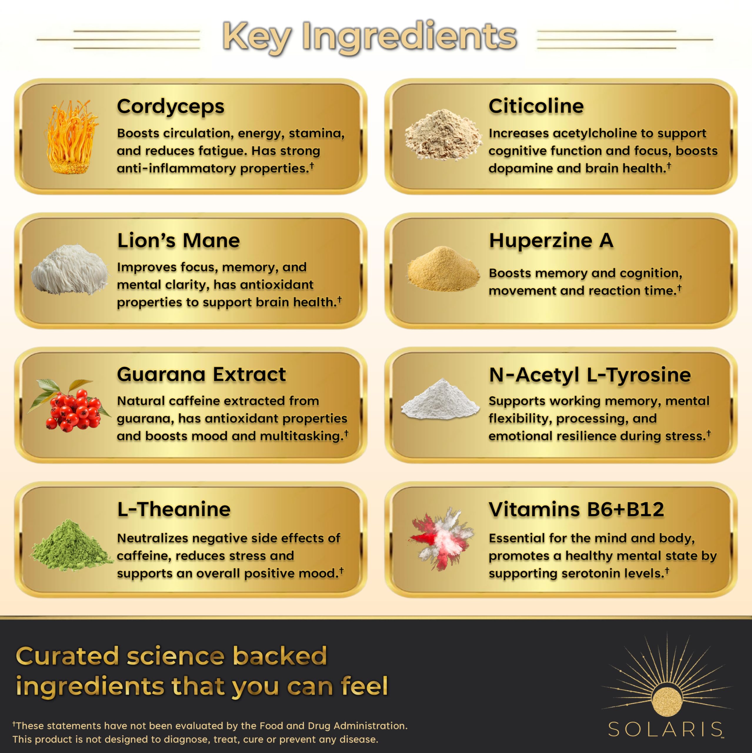 Solaris Mushroom Productivity Wellness Shots | Focus, Circulation, Memory | 4000mg of Cordyceps & Lion's Mane | Citicoline, L-Theanine, Vitamin B6/B12 | Coffee Alternative (6-Pack) Solaris ExtractsAu supplements